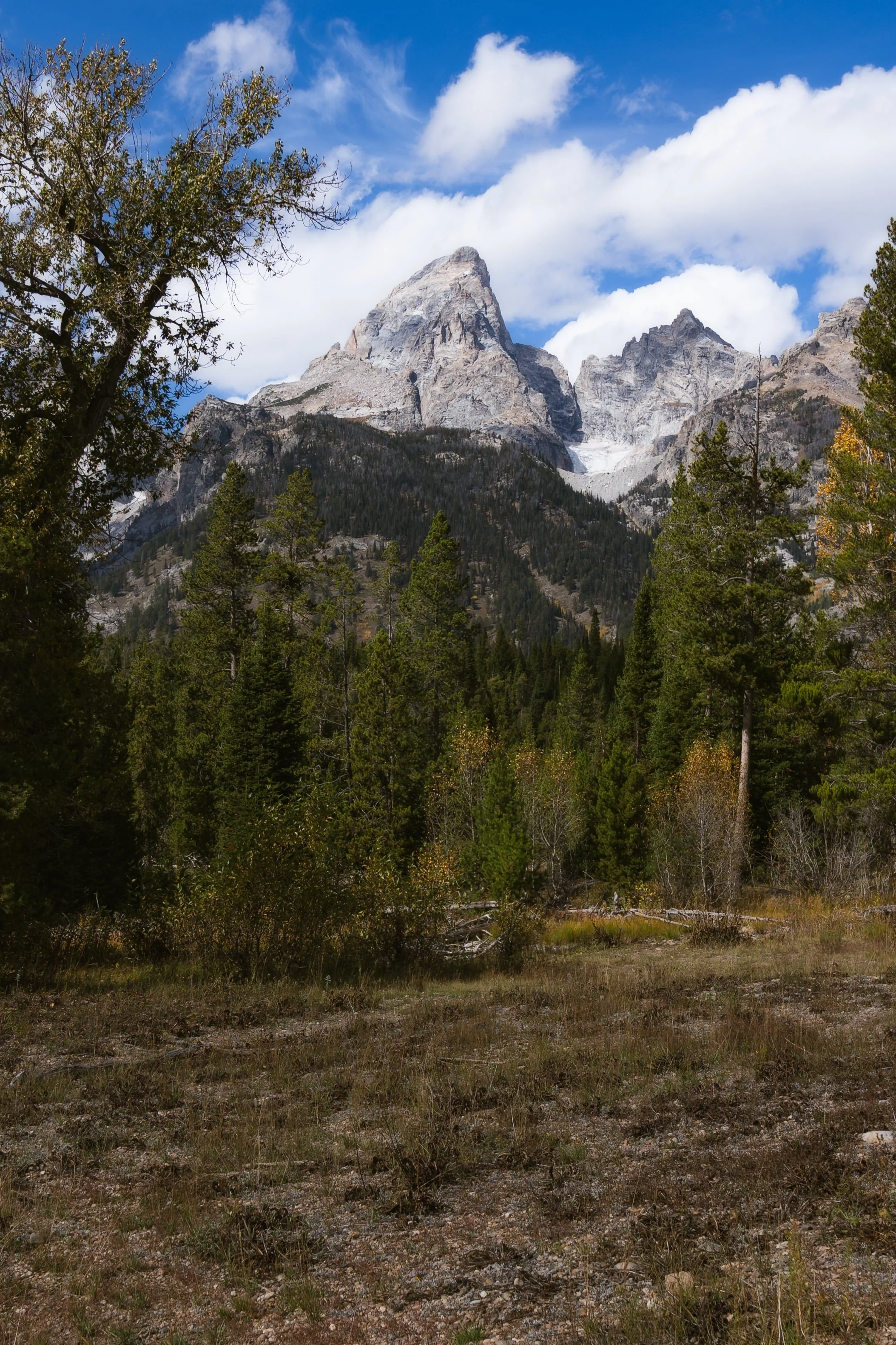 TetonsYellowstoneWebsite-6.jpg