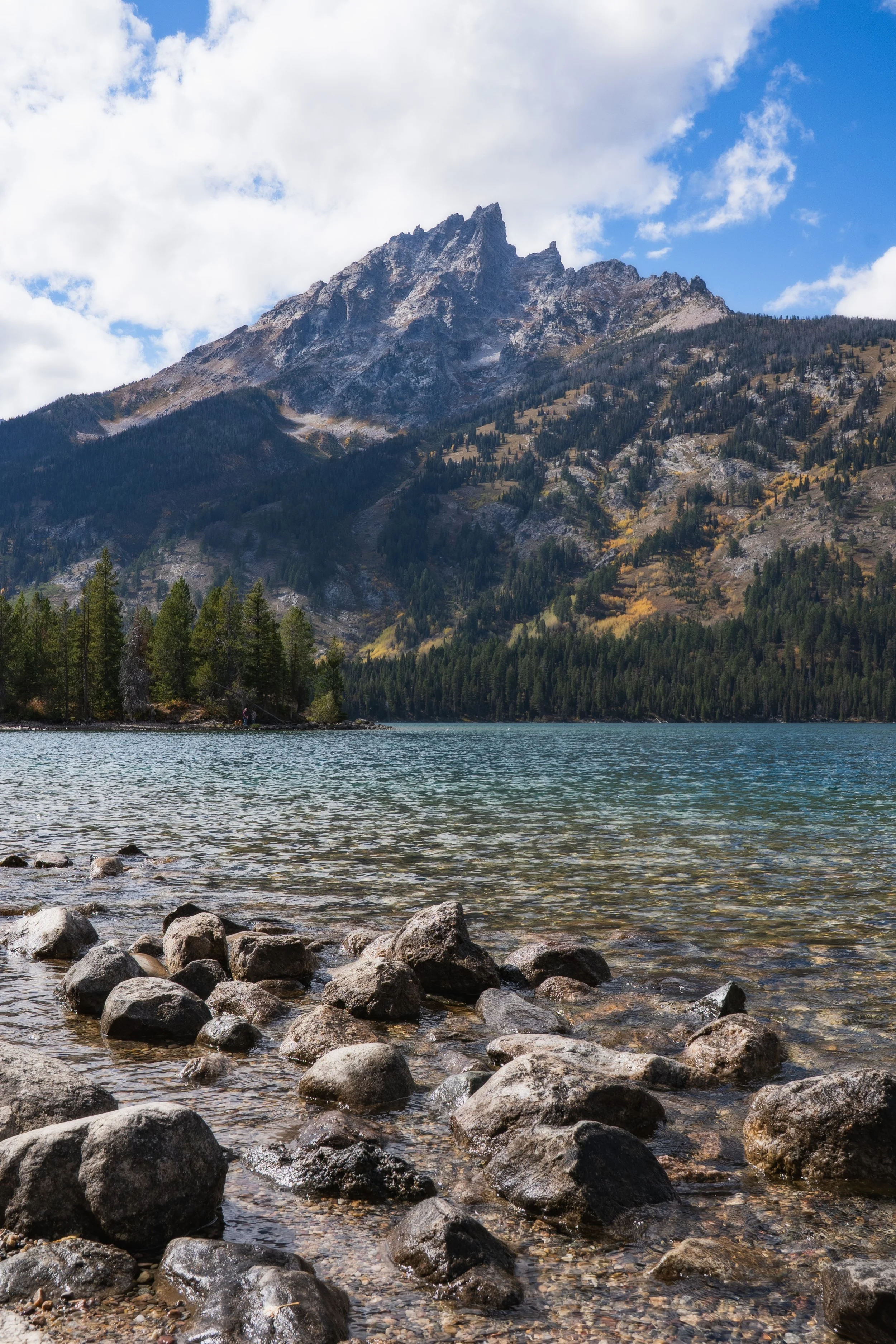 TetonsYellowstoneWebsite-8.jpg