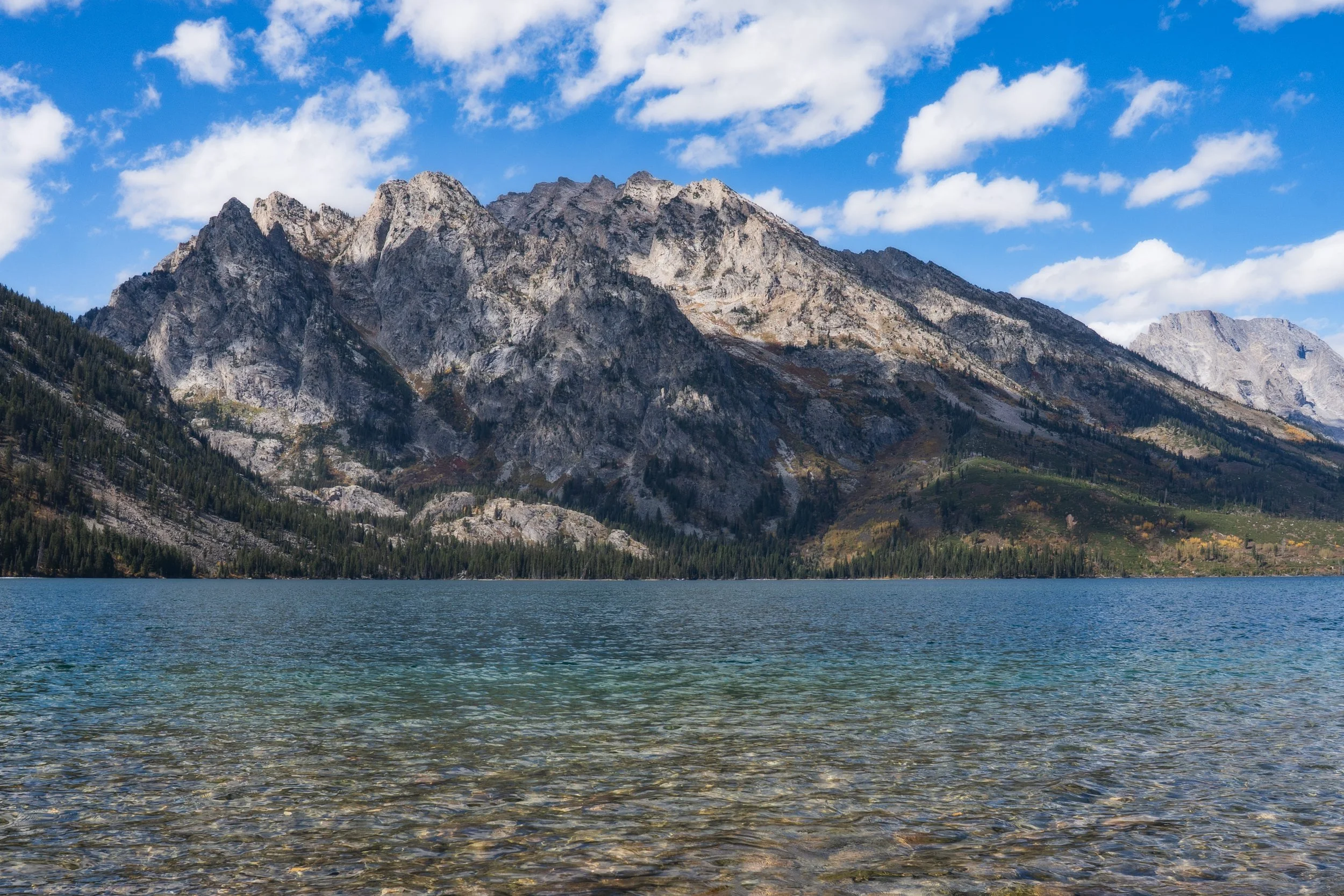 TetonsYellowstoneWebsite-9.jpg