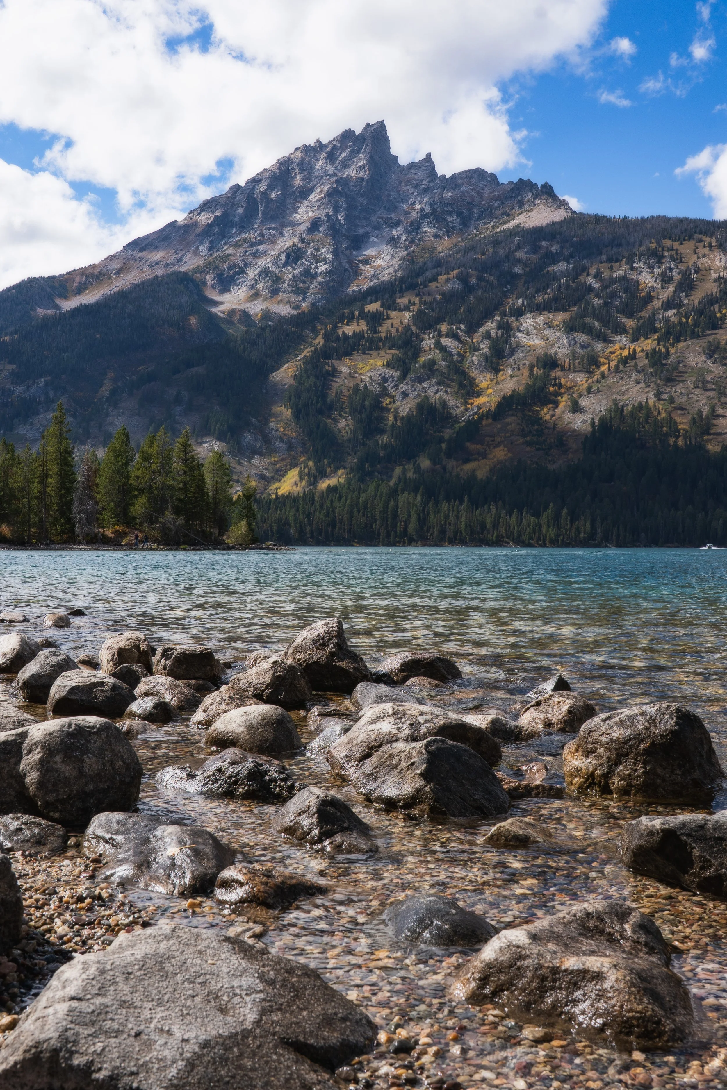 TetonsYellowstoneWebsite-10.jpg