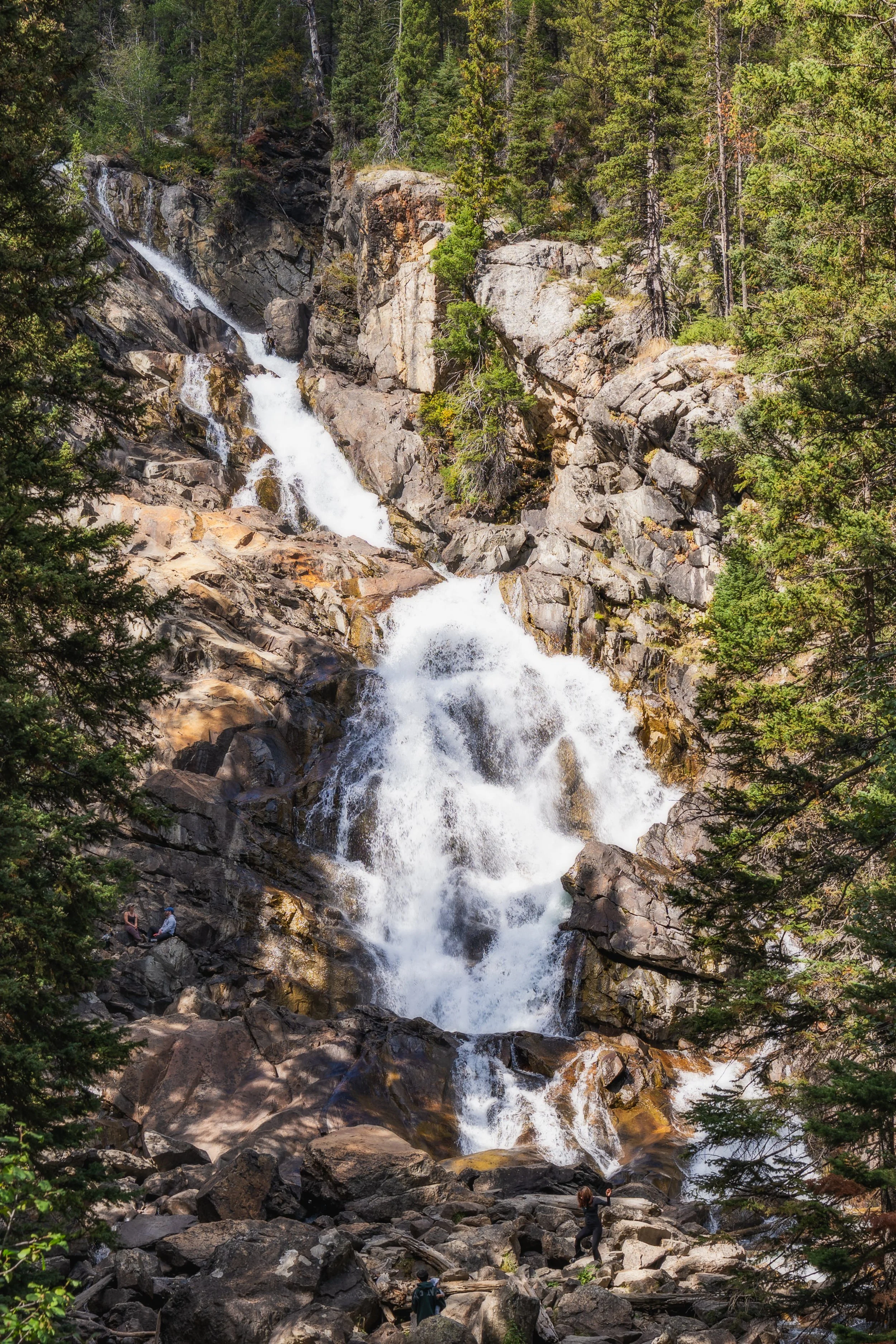 TetonsYellowstoneWebsite-11.jpg