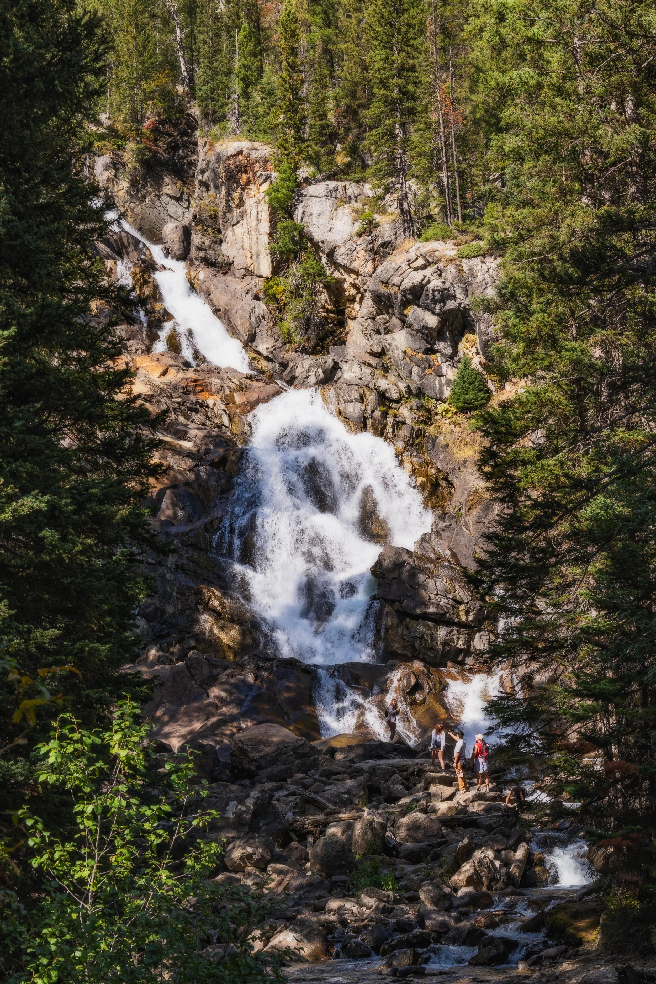 TetonsYellowstoneWebsite-12.jpg