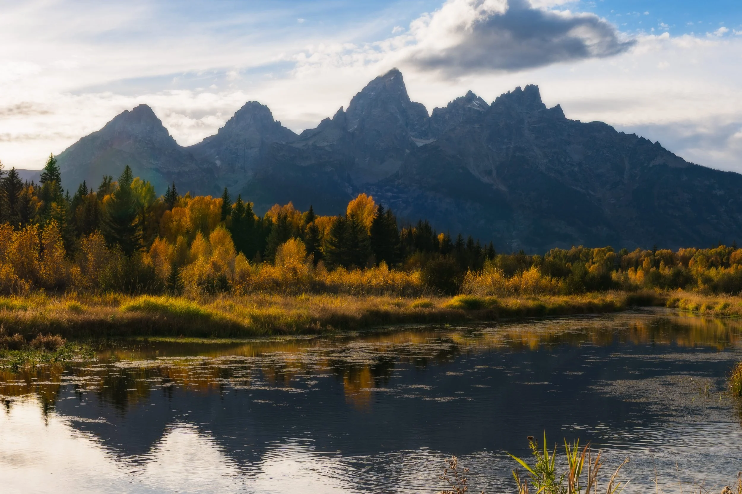 TetonsYellowstoneWebsite-13.jpg