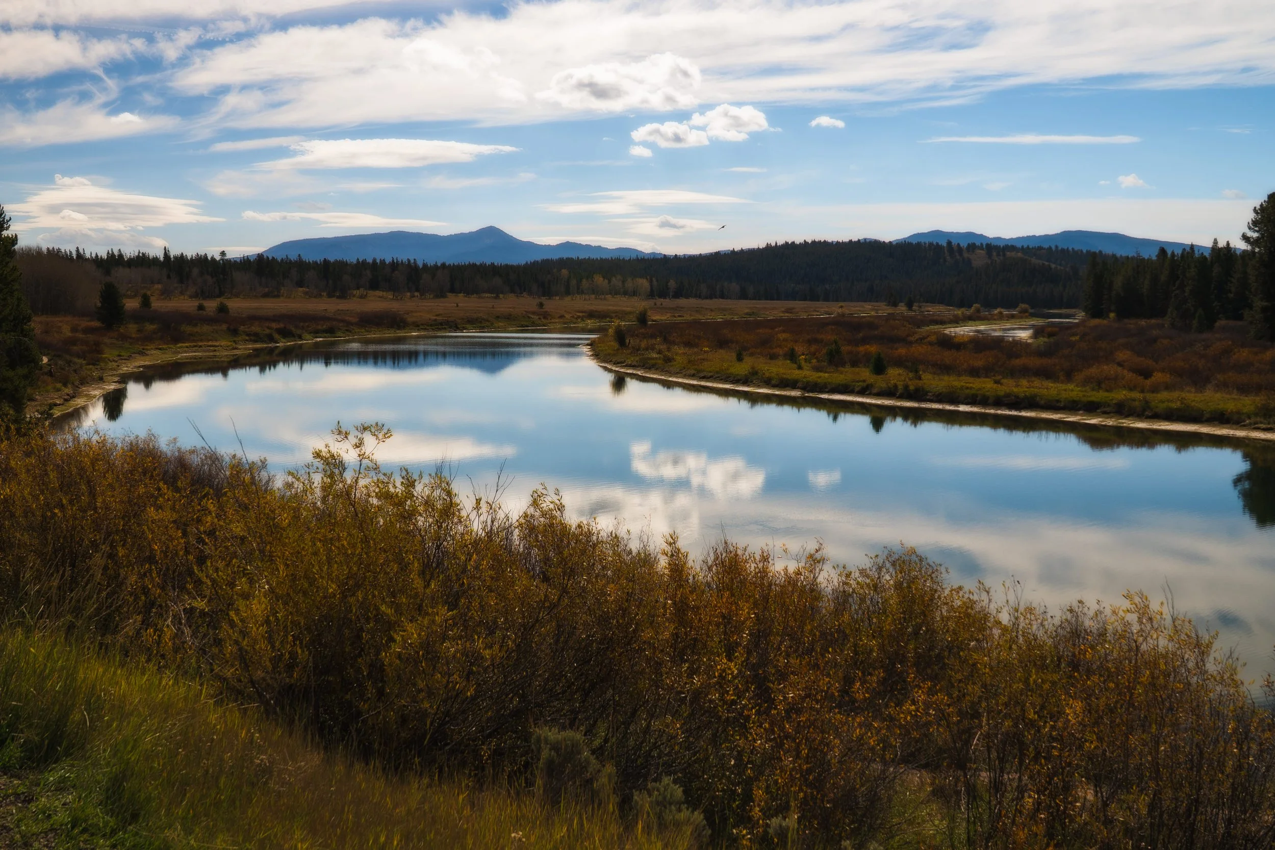 TetonsYellowstoneWebsite-21.jpg