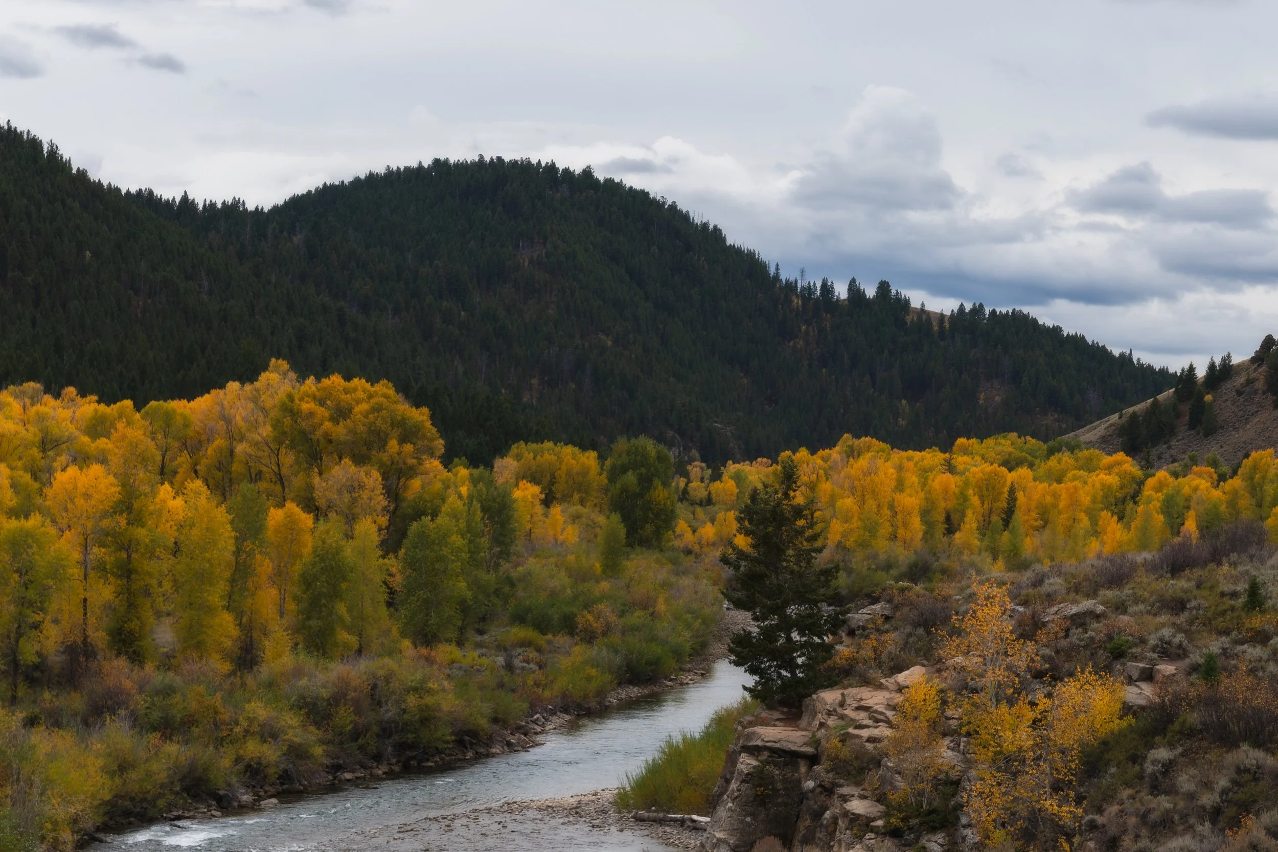TetonsYellowstoneWebsite-33.jpg