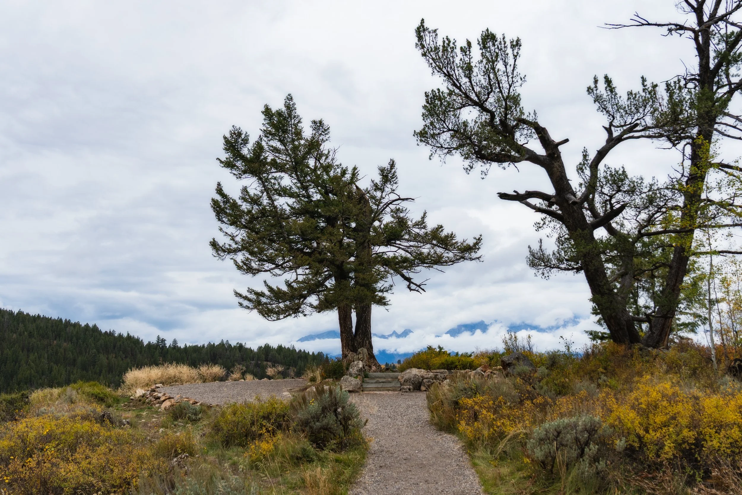 TetonsYellowstoneWebsite-34.jpg