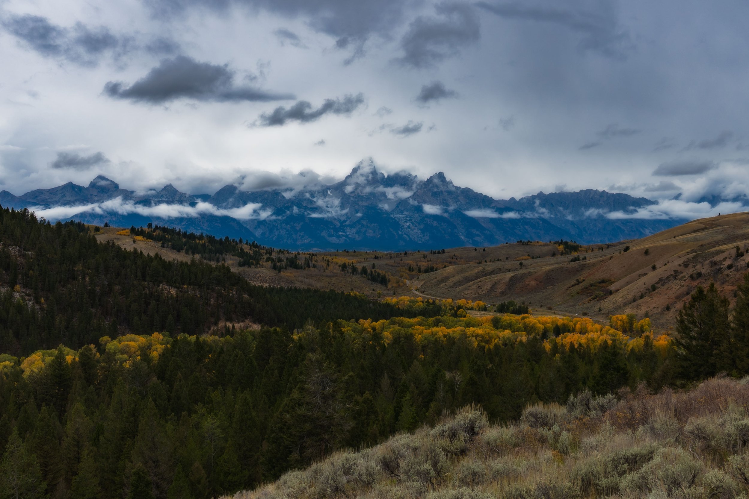 TetonsYellowstoneWebsite-35.jpg