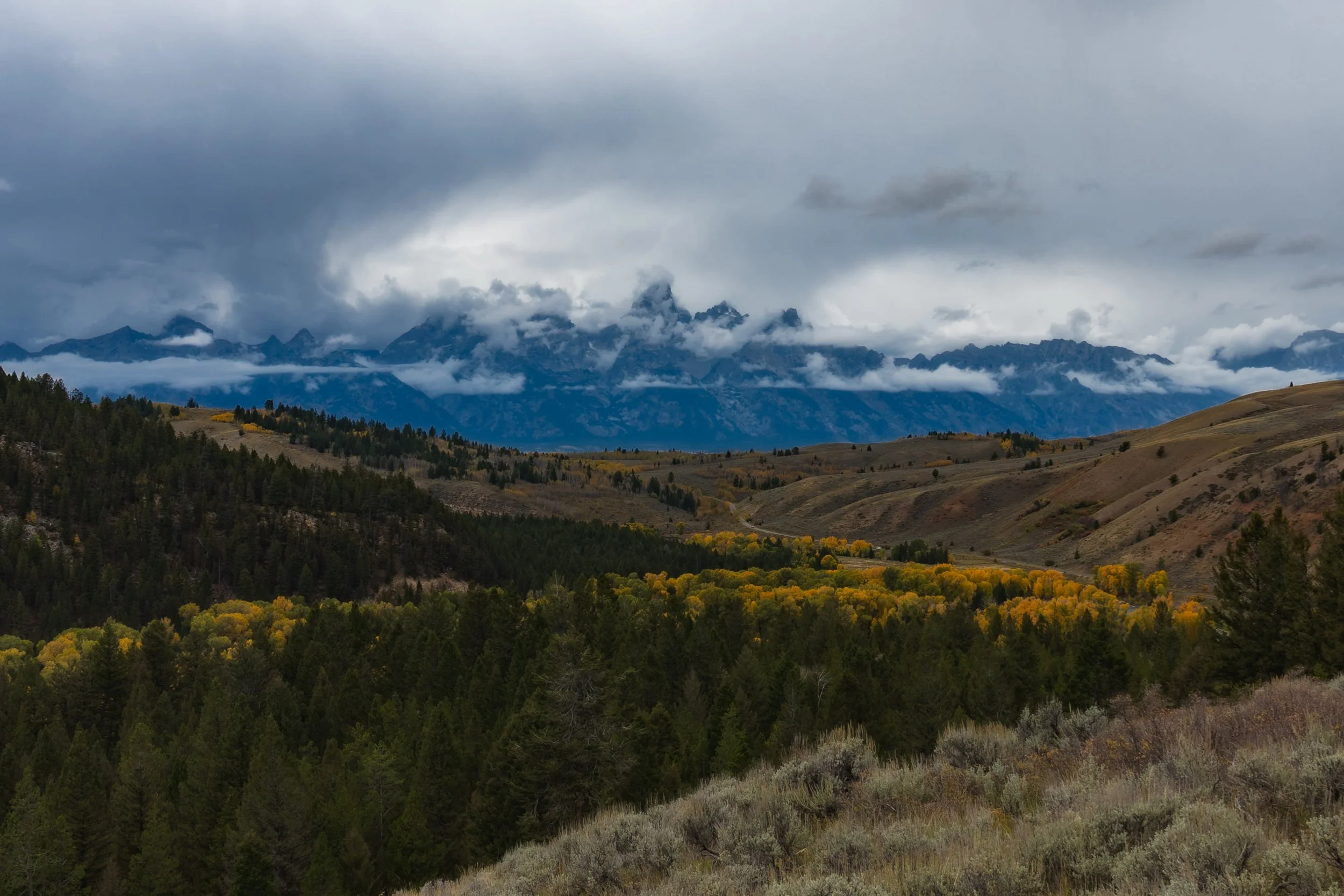 TetonsYellowstoneWebsite-36.jpg