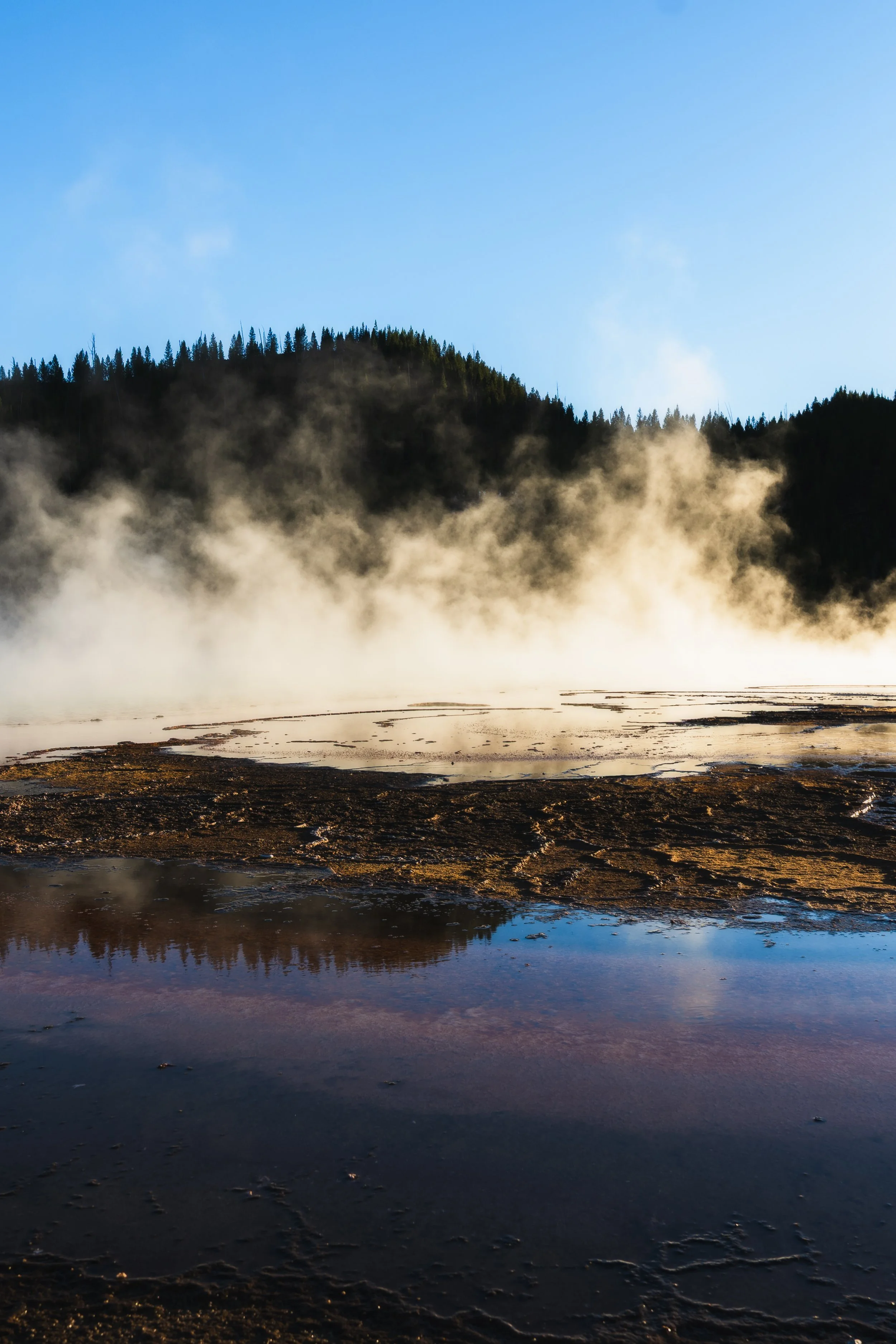 TetonsYellowstoneWebsite-44.jpg
