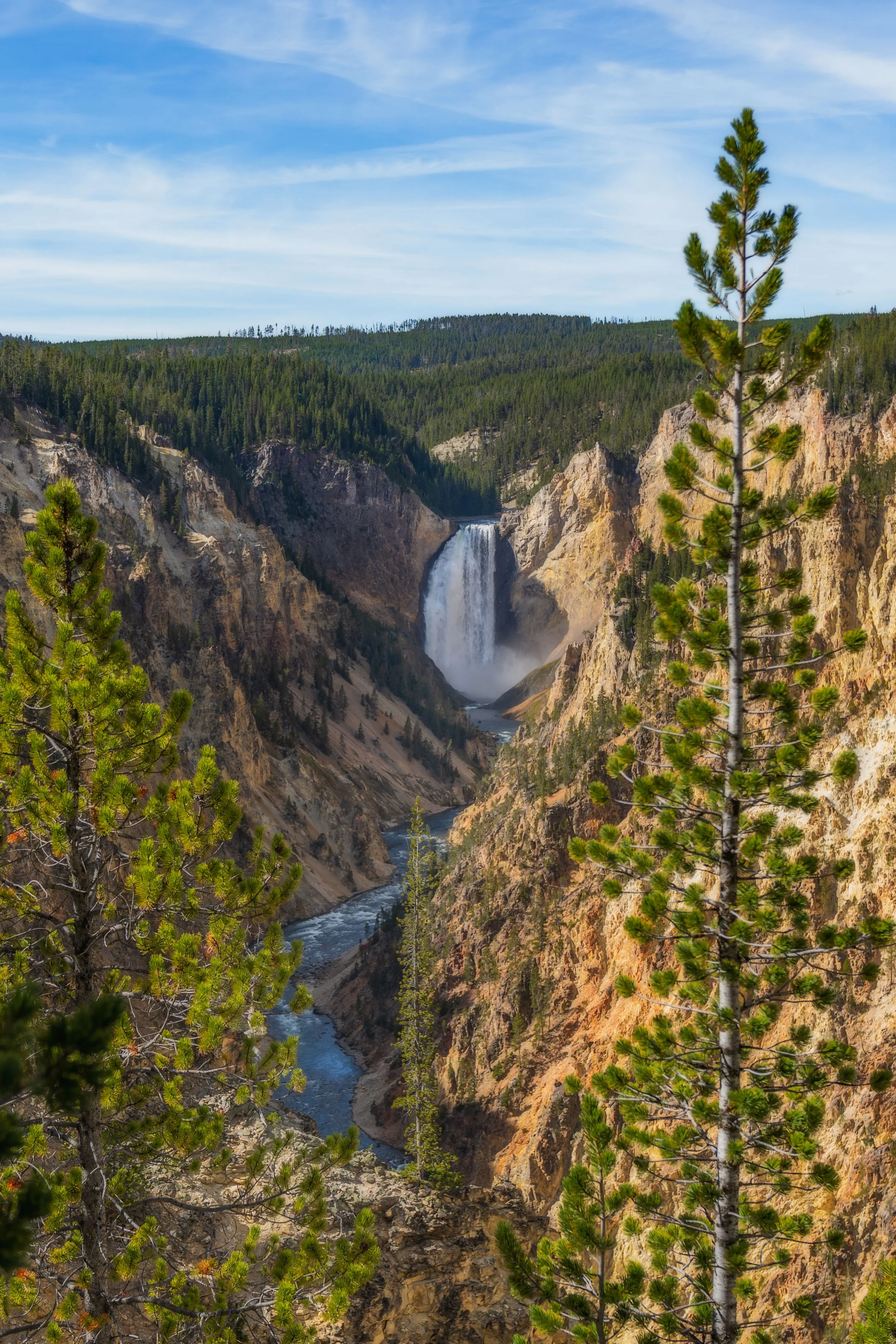 TetonsYellowstoneWebsite-48.jpg