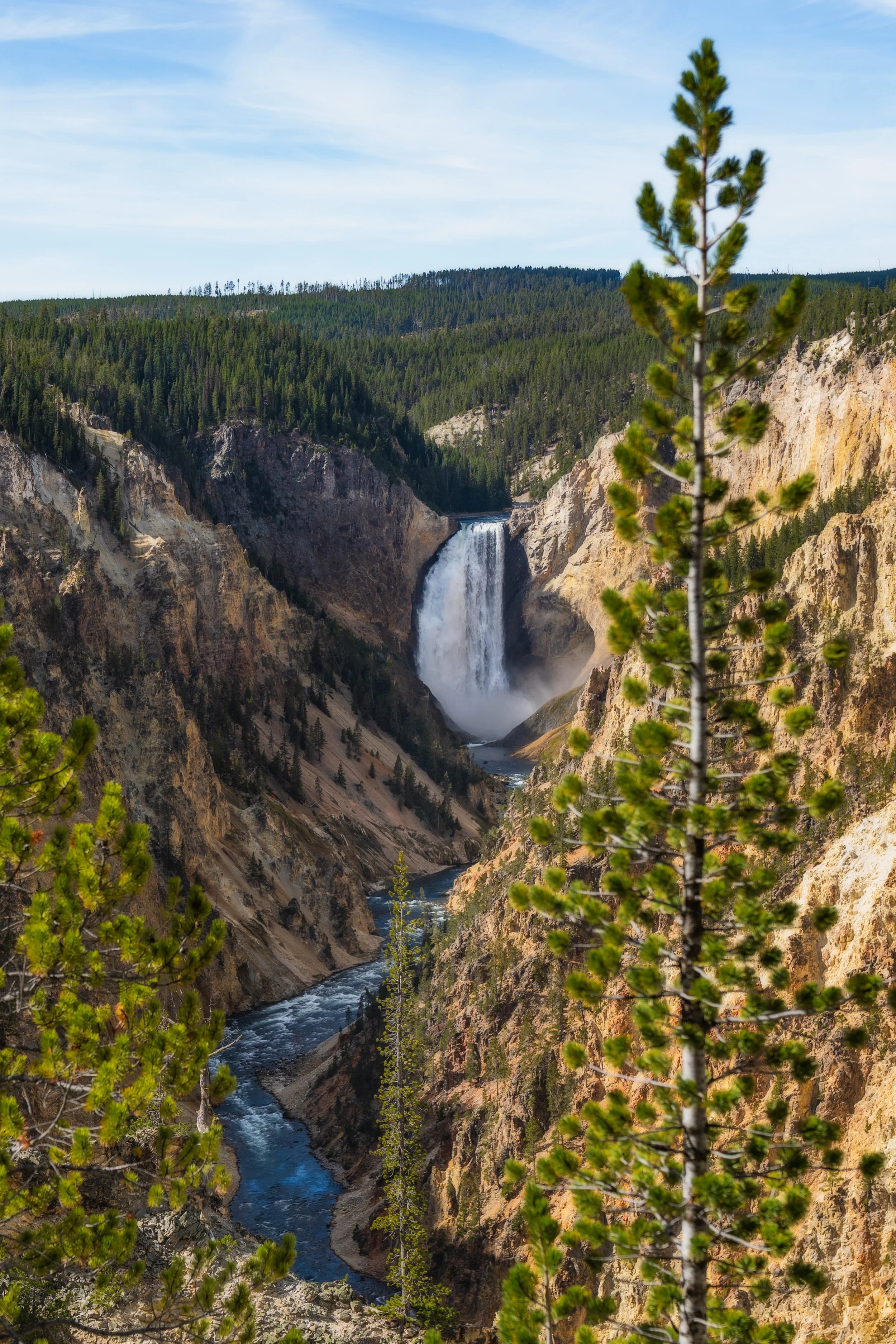 TetonsYellowstoneWebsite-49.jpg