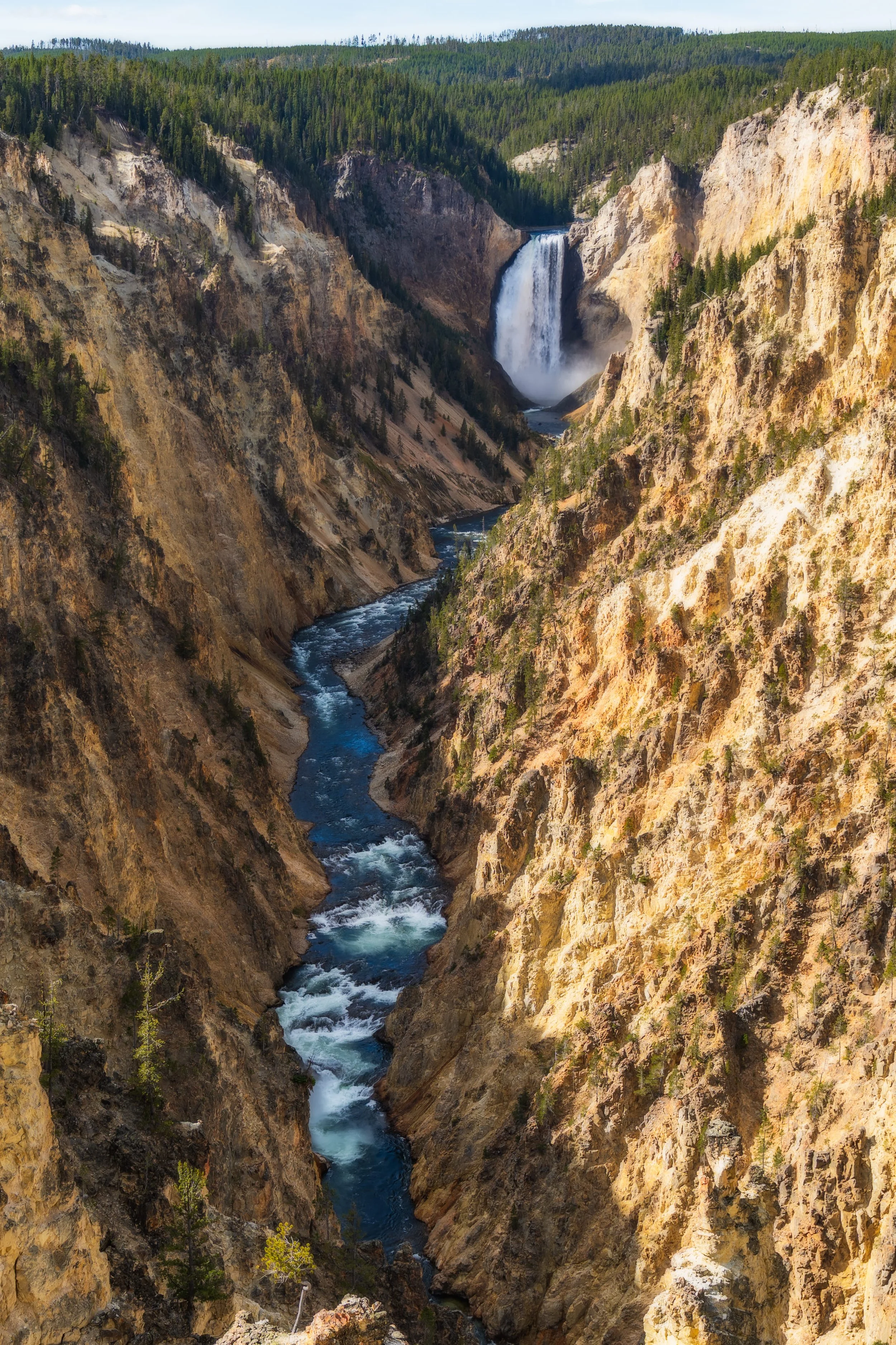 TetonsYellowstoneWebsite-50.jpg