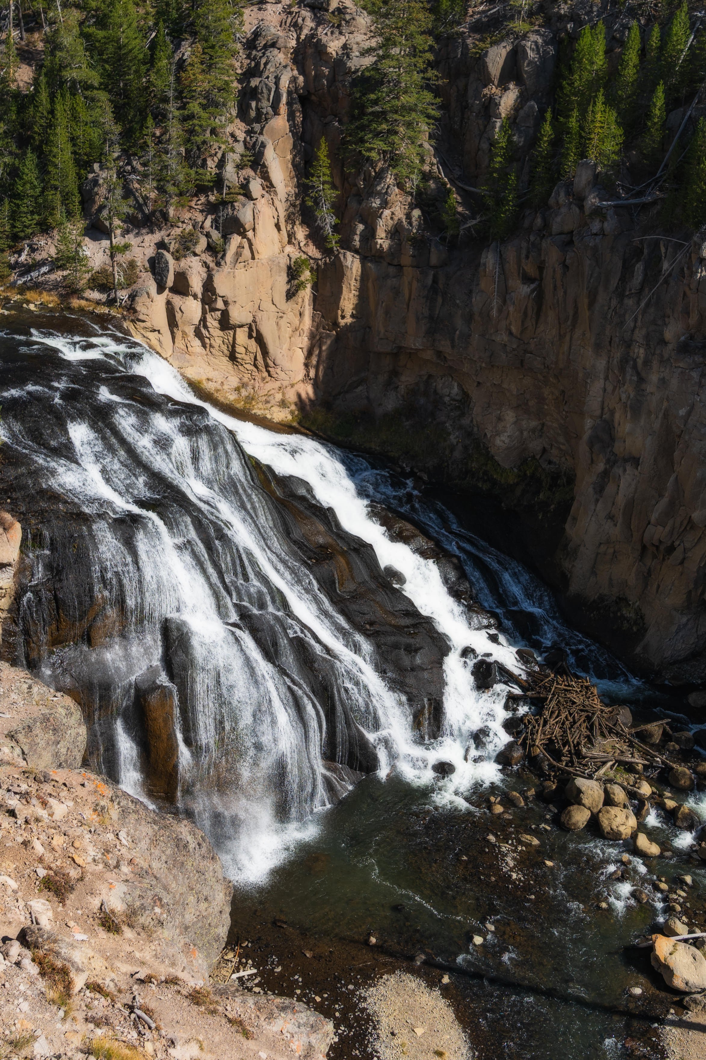 TetonsYellowstoneWebsite-51.jpg