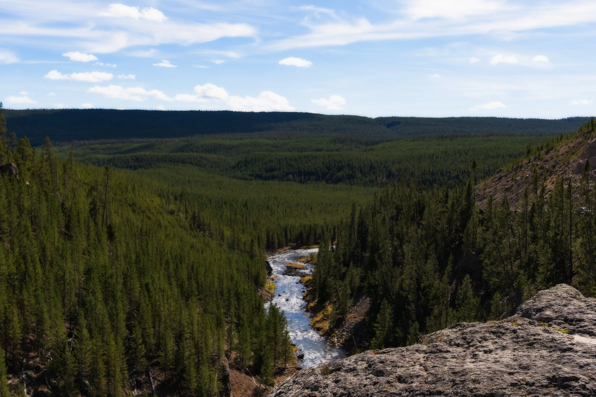 TetonsYellowstoneWebsite-52.jpg