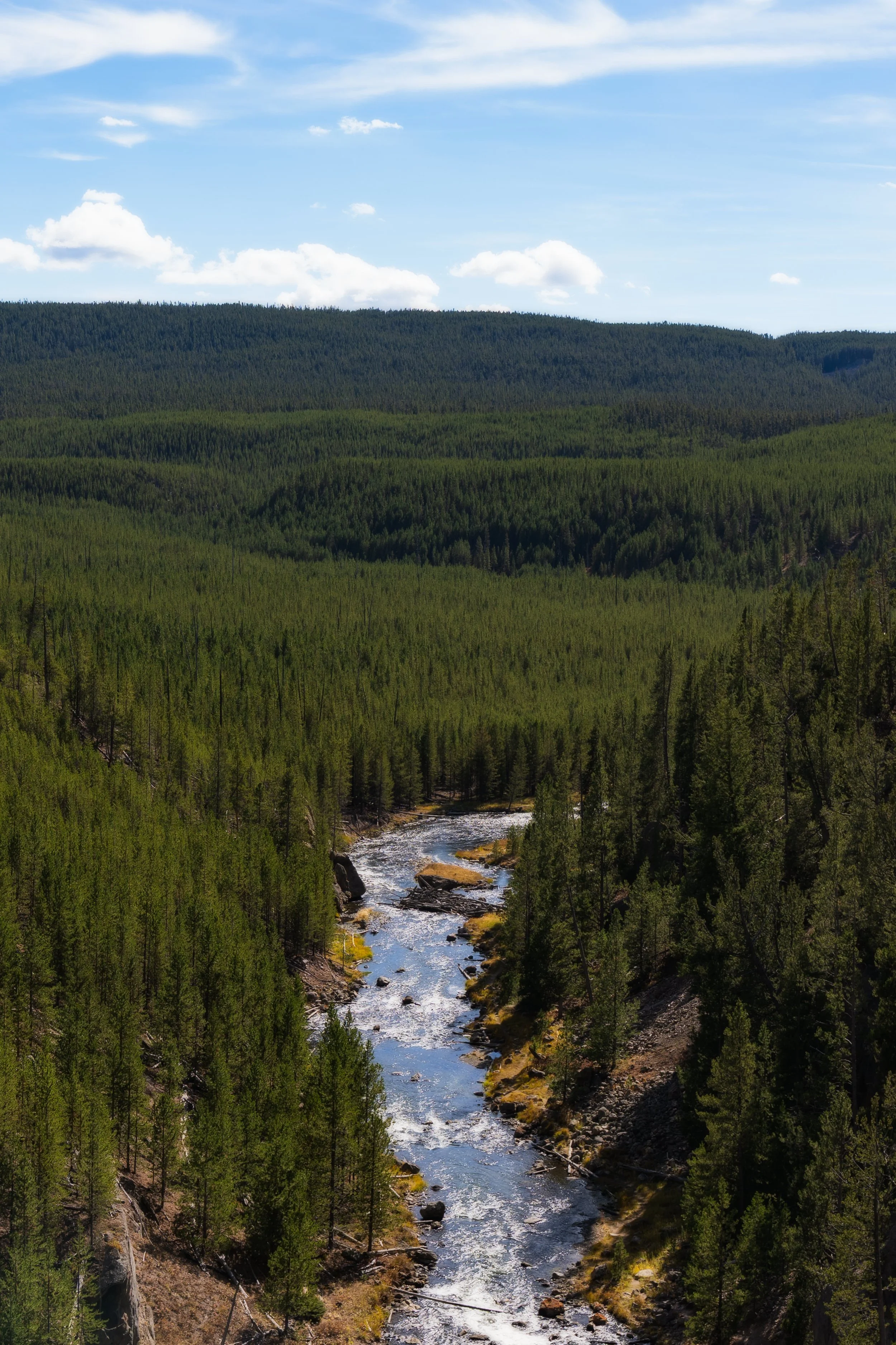 TetonsYellowstoneWebsite-53.jpg
