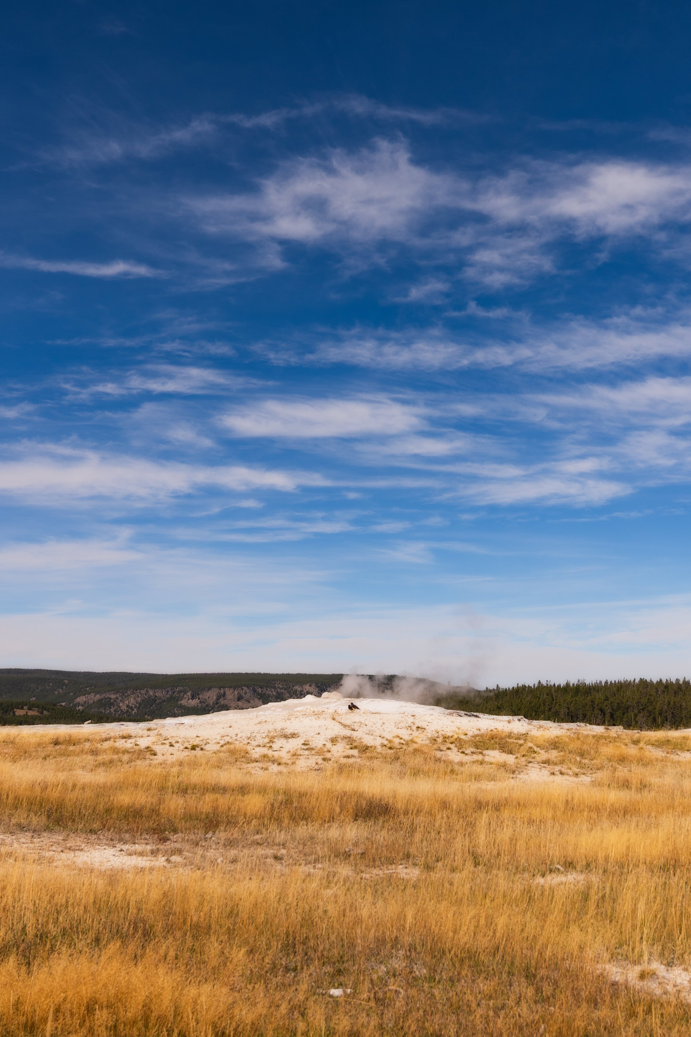TetonsYellowstoneWebsite-71.jpg