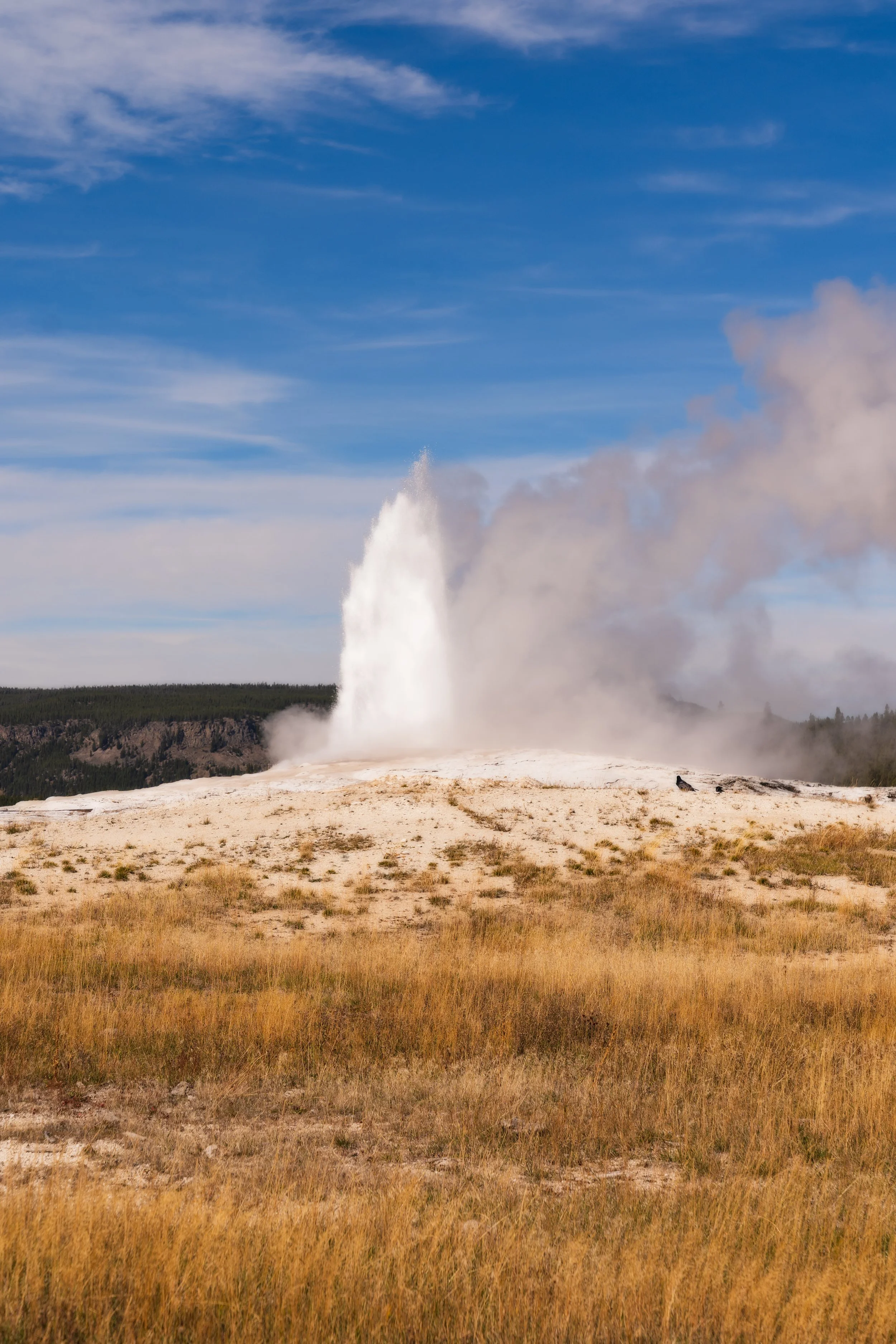 TetonsYellowstoneWebsite-72.jpg