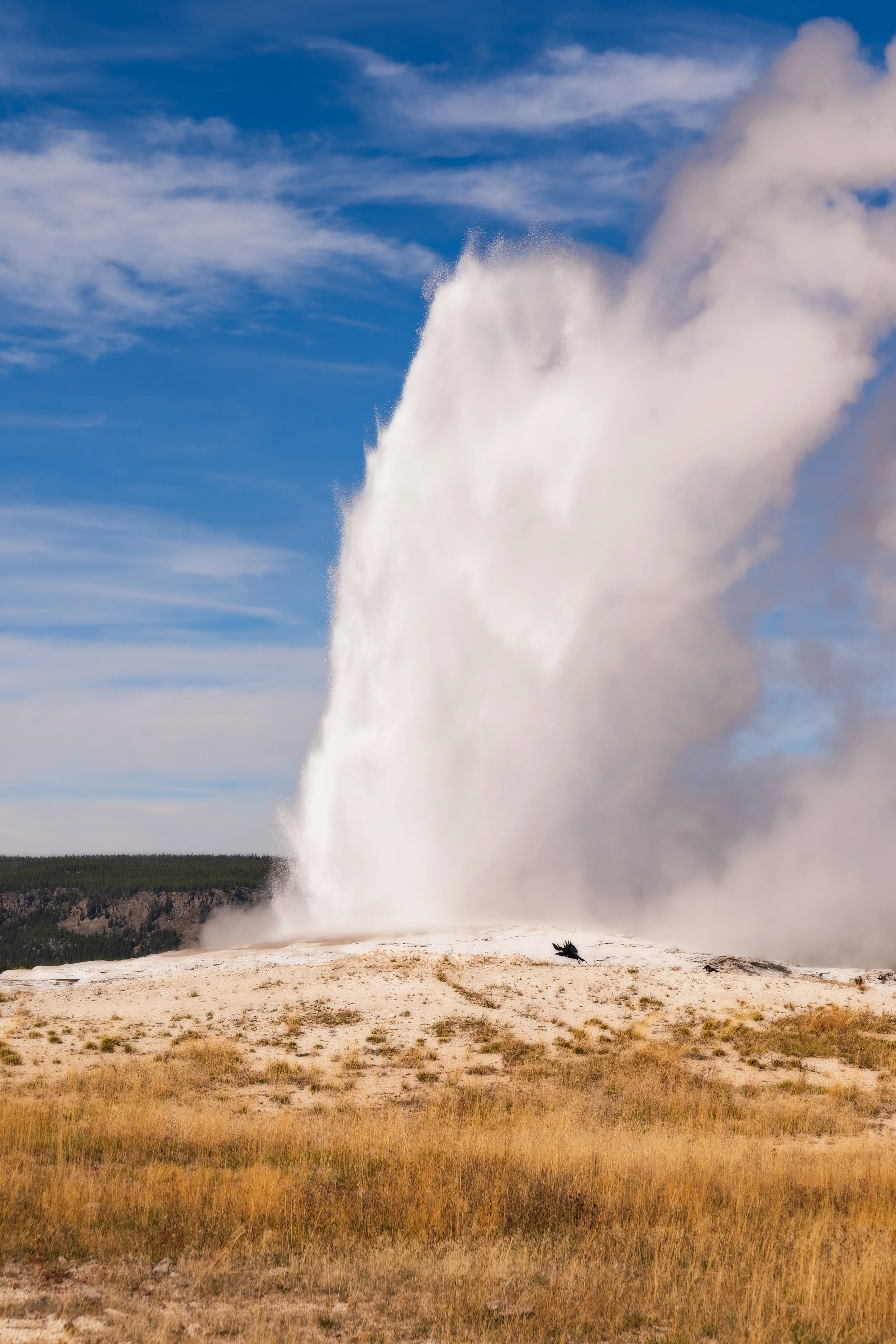 TetonsYellowstoneWebsite-74.jpg