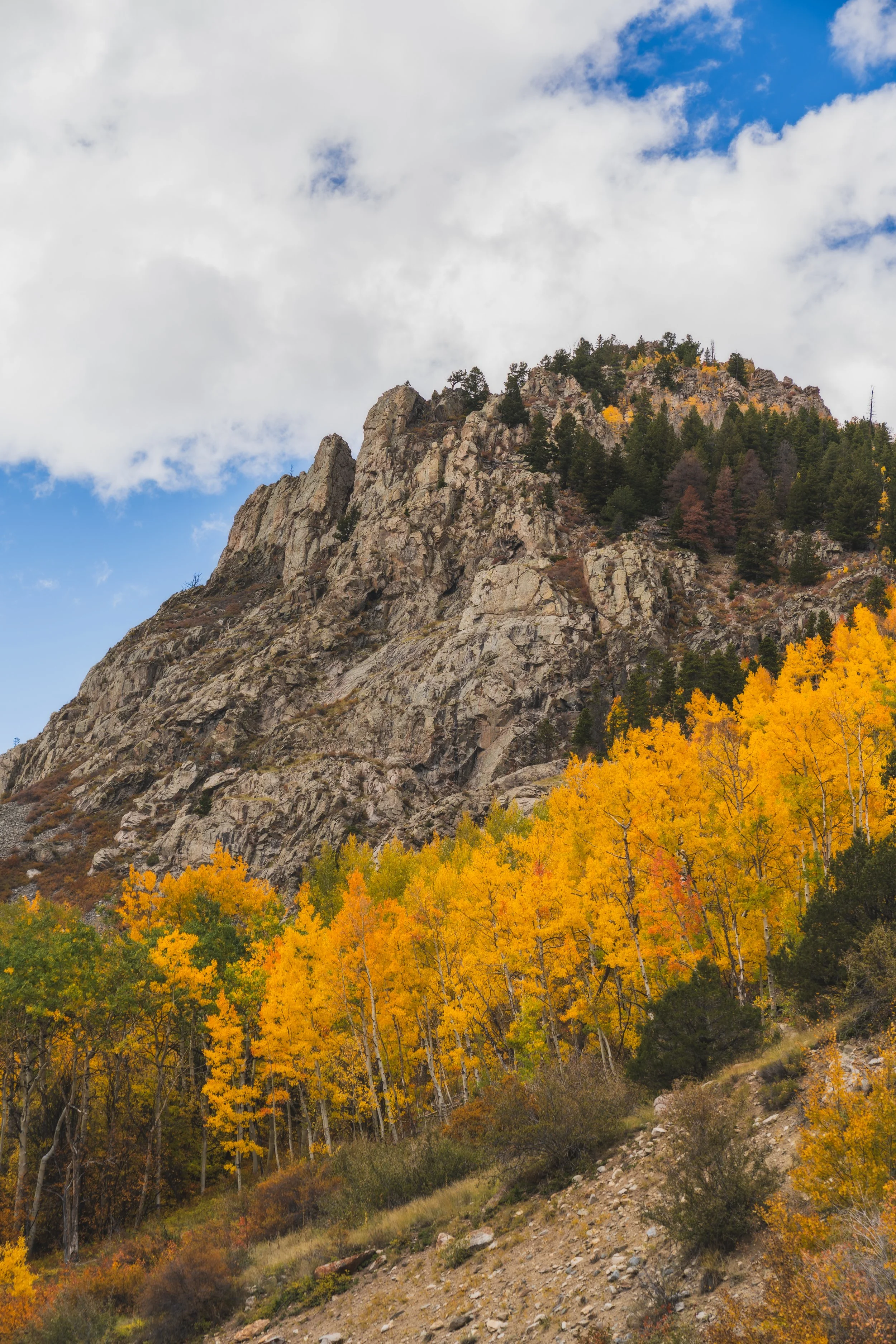 LakeCityFallPhotos2025-2.jpg