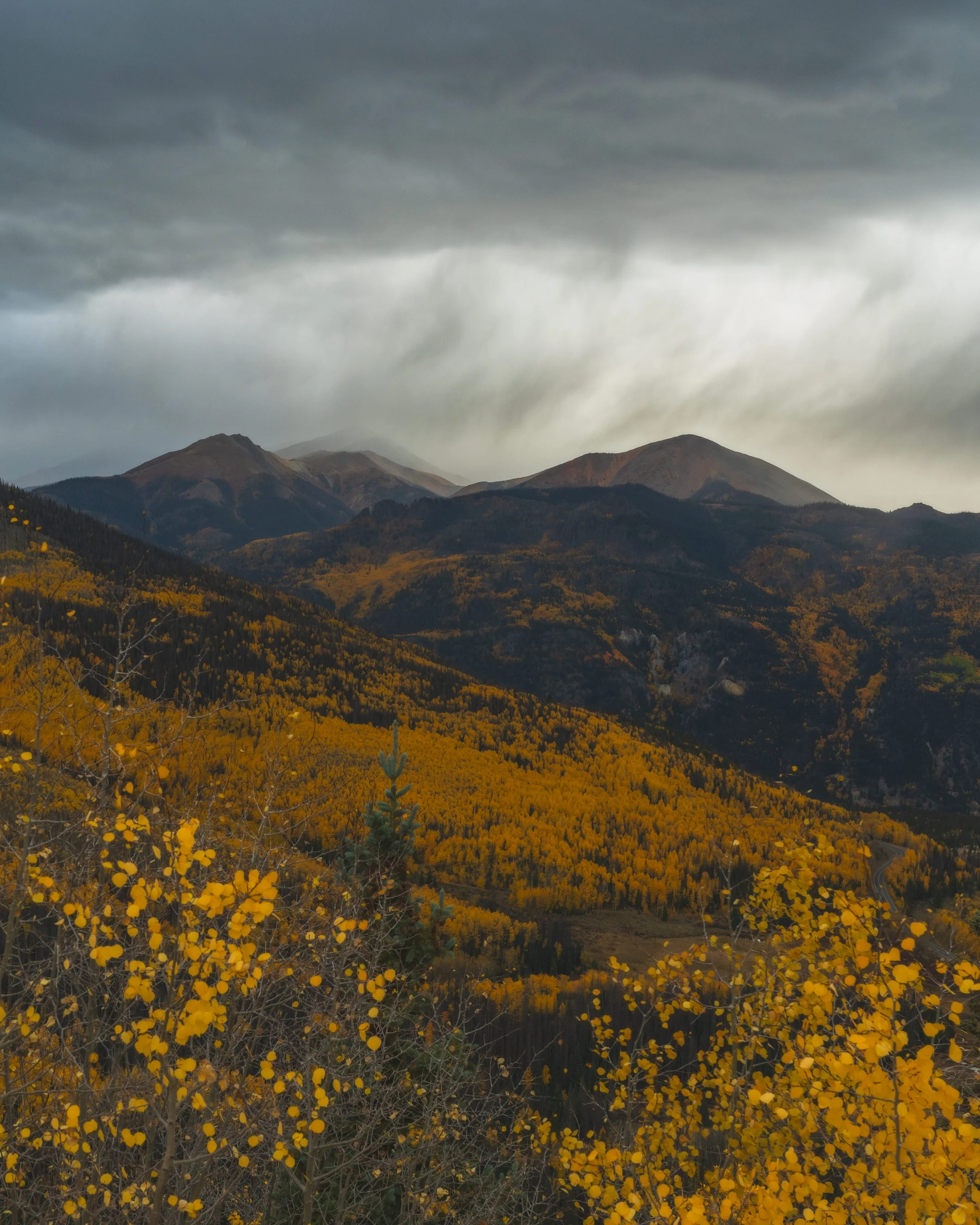 LakeCityFallPhotos2025-6.jpg