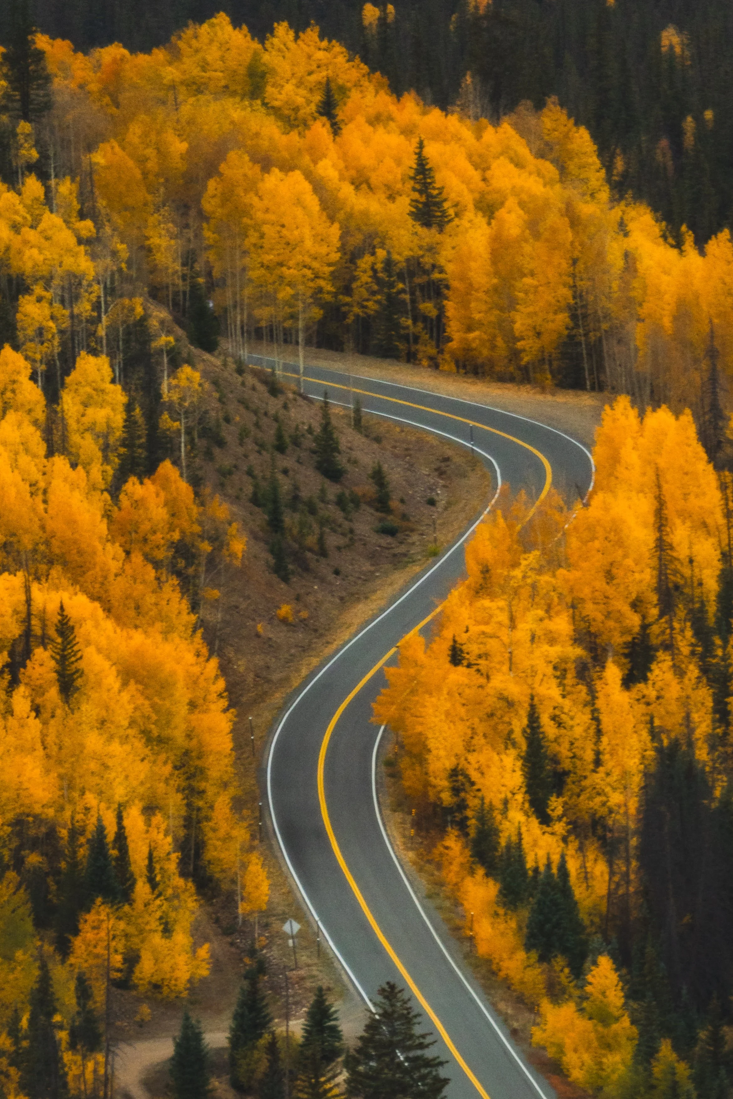 LakeCityFallPhotos2025-9.jpg
