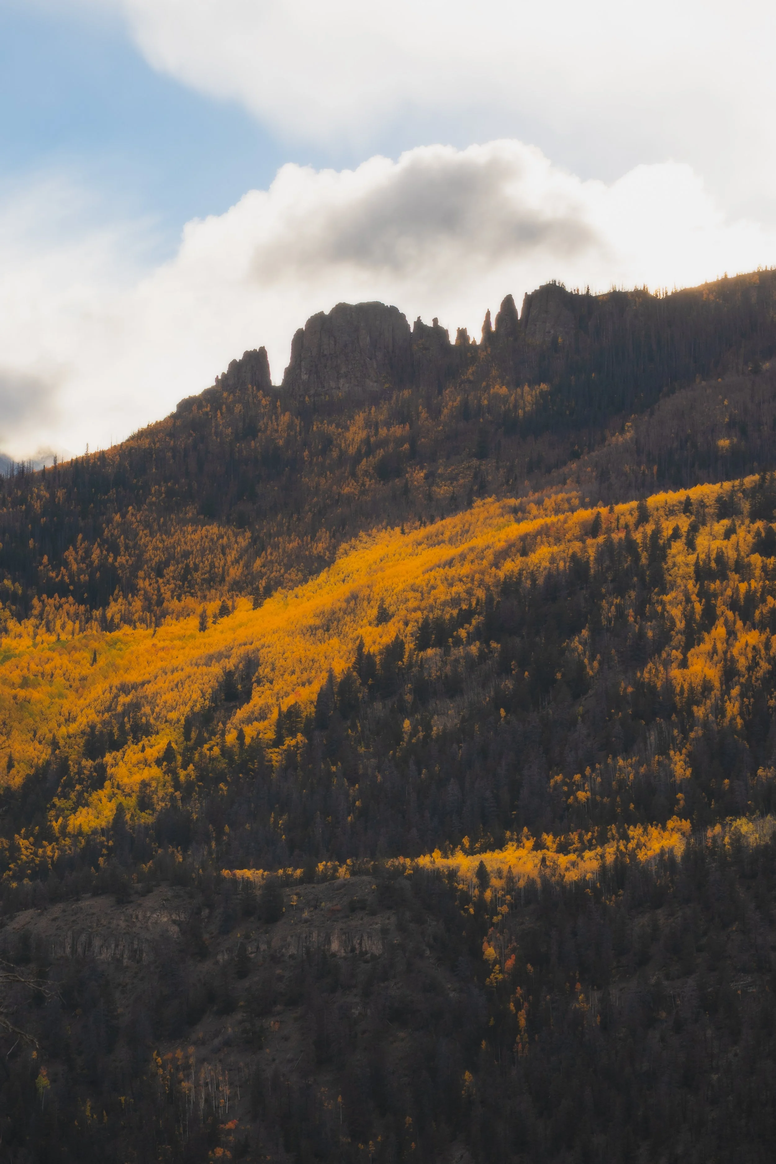 LakeCityFallPhotos2025-11.jpg