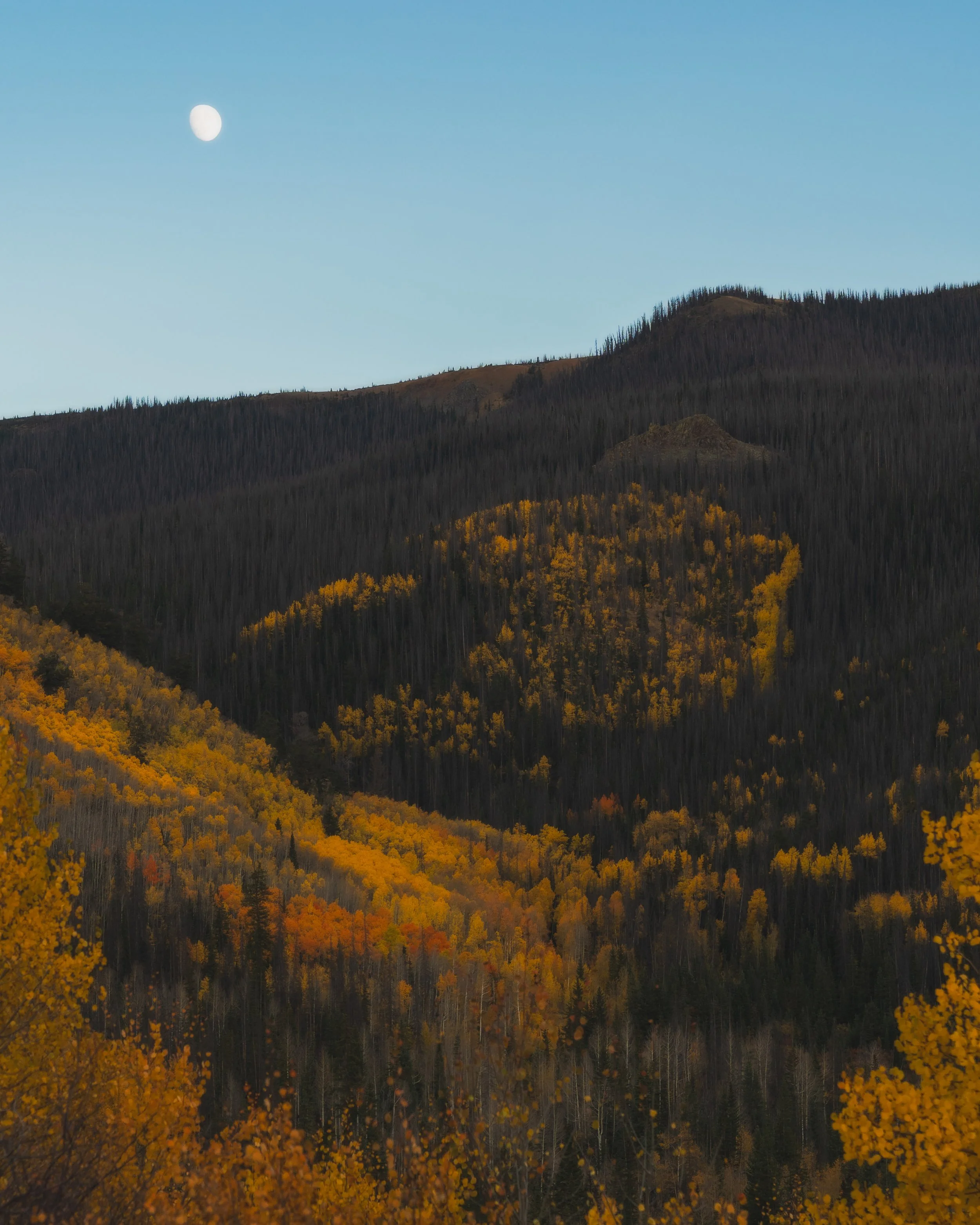 LakeCityFallPhotos2025-19.jpg