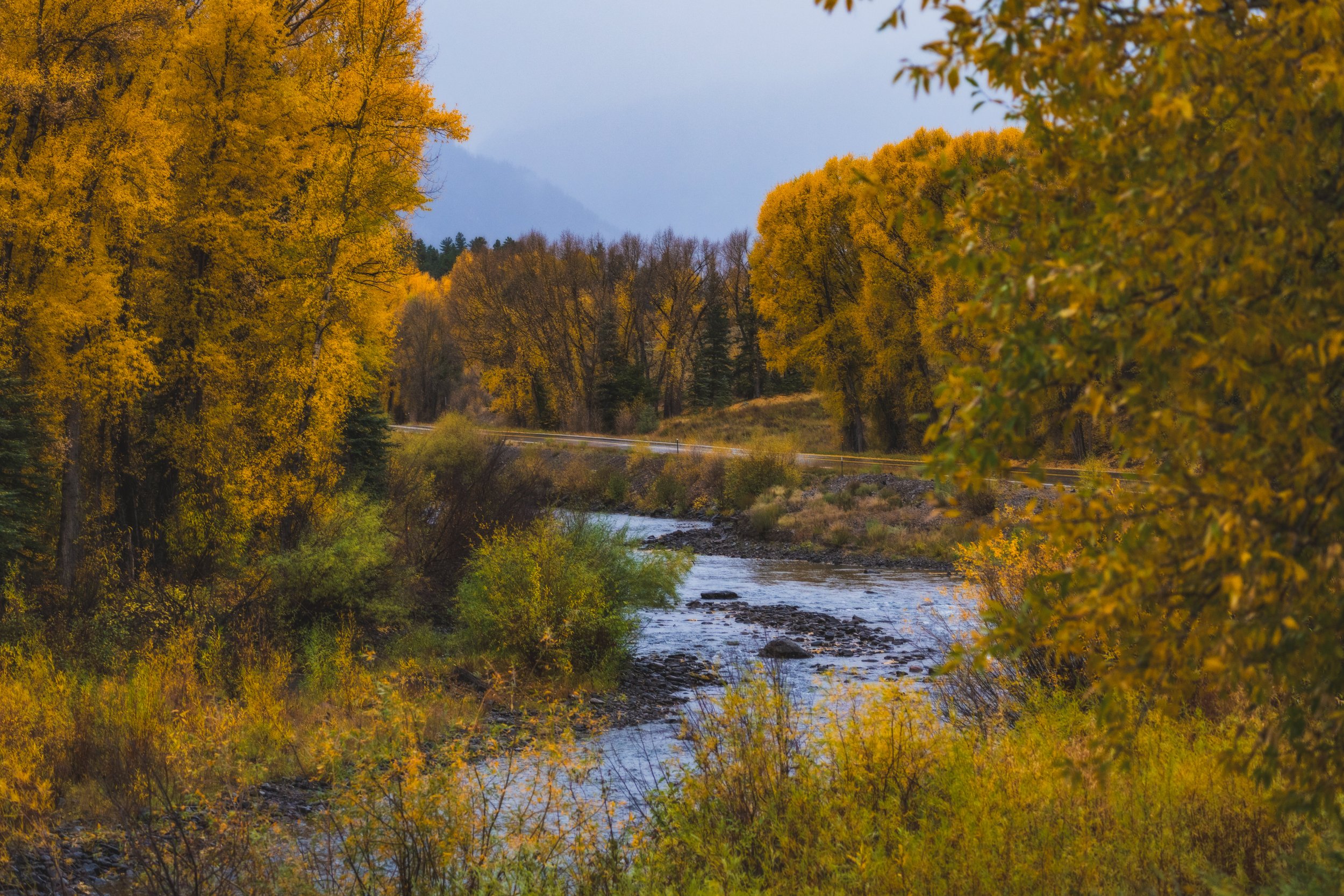 LakeCityFallPhotos2025-26.jpg
