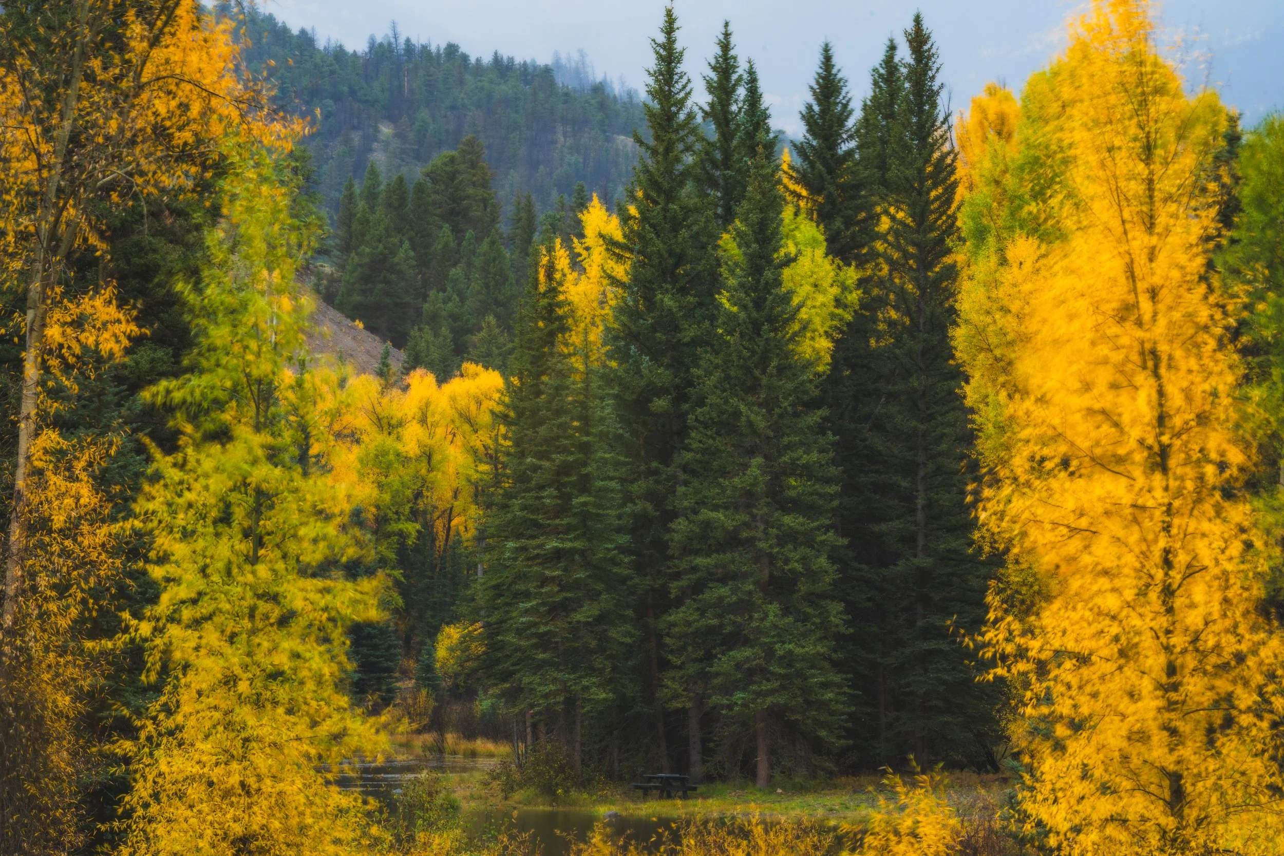 LakeCityFallPhotos2025-27.jpg