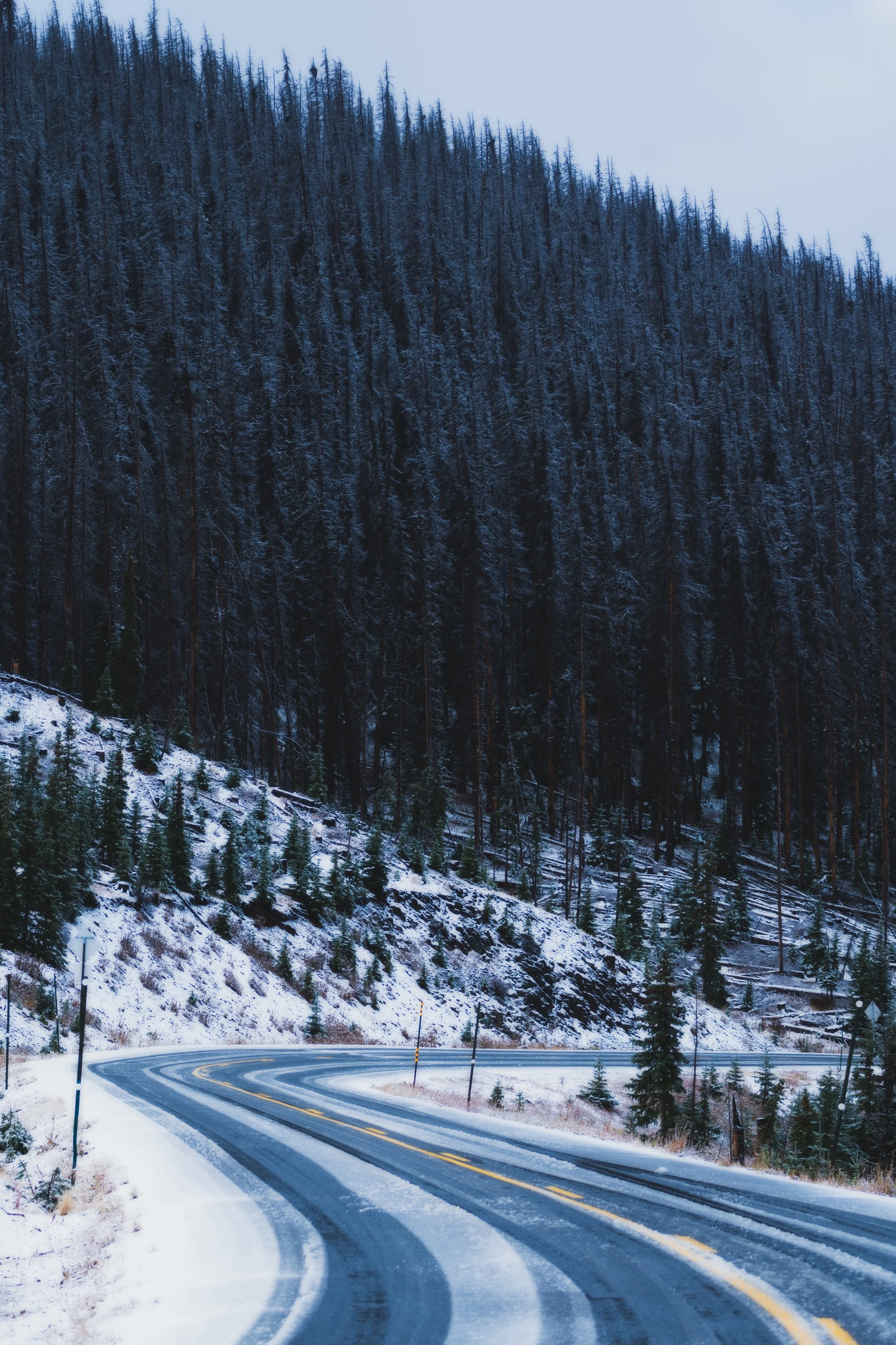 LakeCityFallPhotos2025-29.jpg