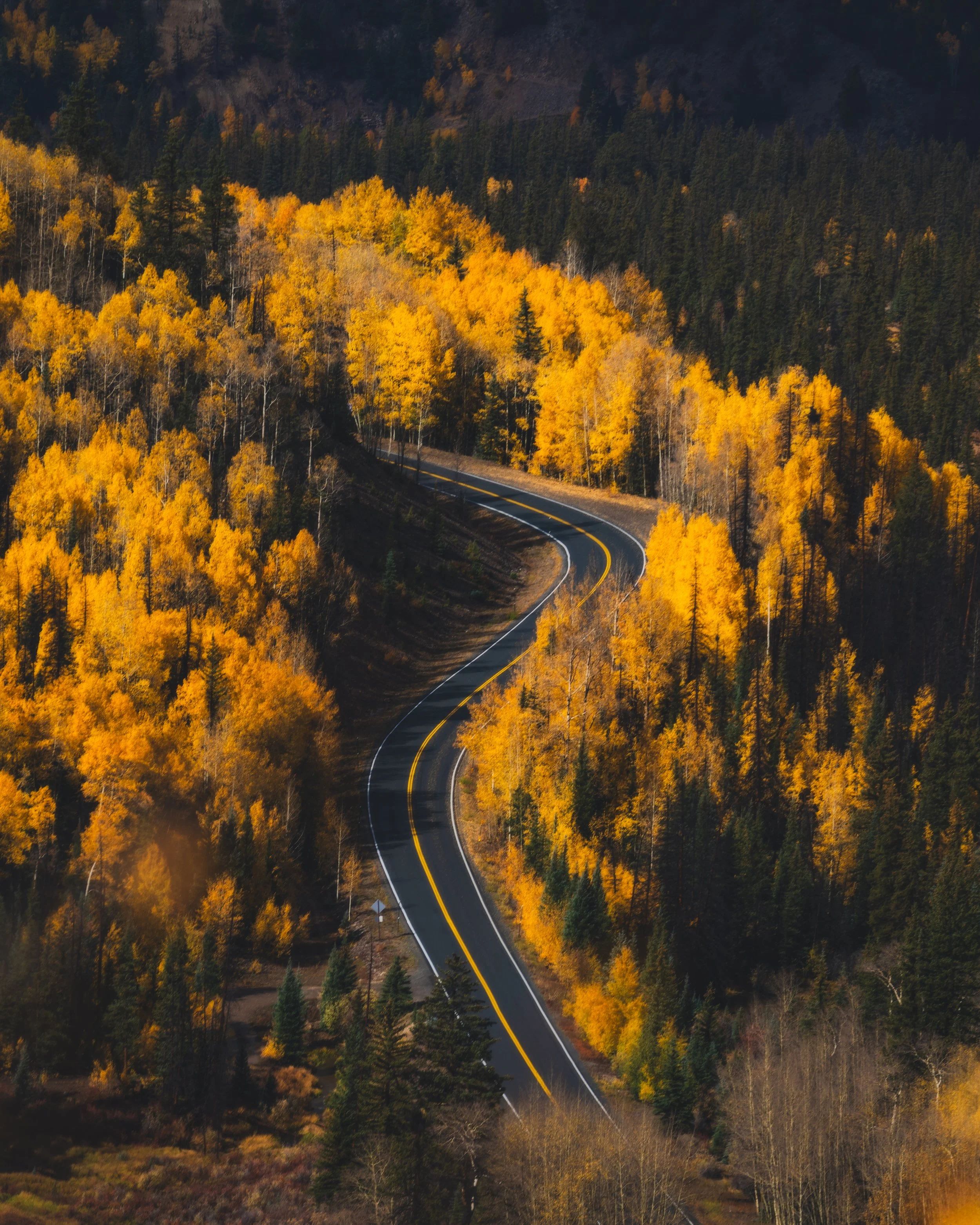 LakeCityFallPhotos2025-34.jpg