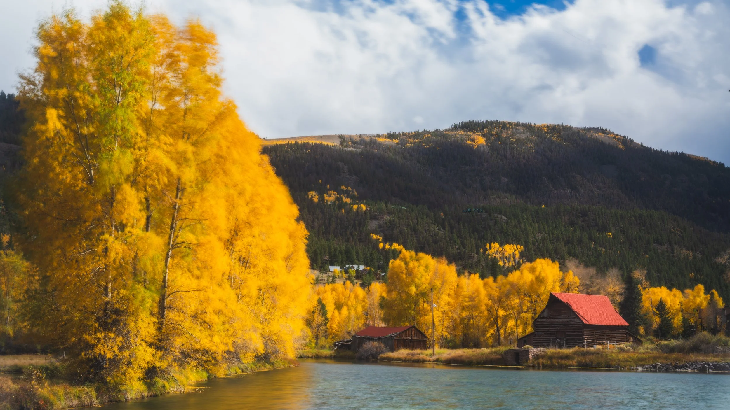 LakeCityFallPhotos2025-37.jpg