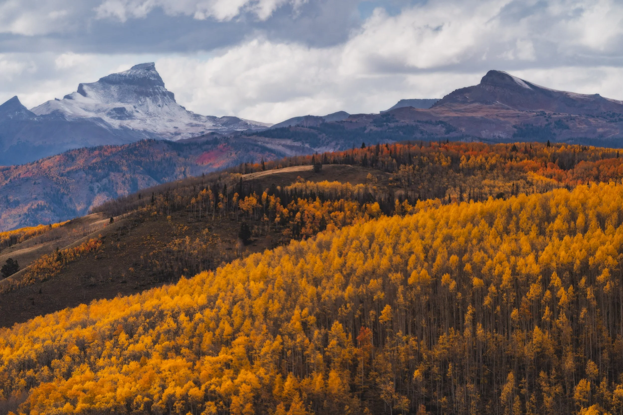 LakeCityFallPhotos2025-41.jpg