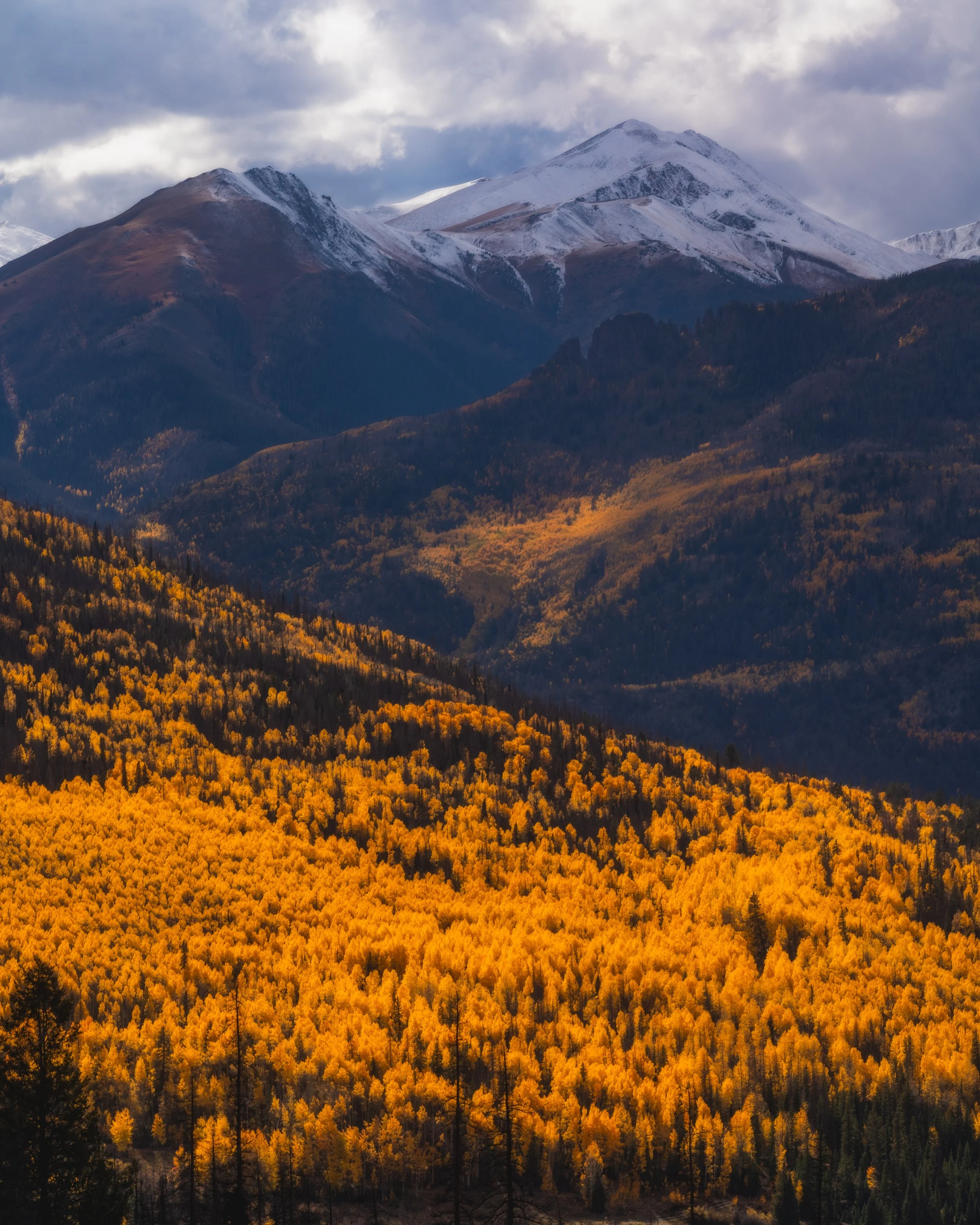 LakeCityFallPhotos2025-42.jpg