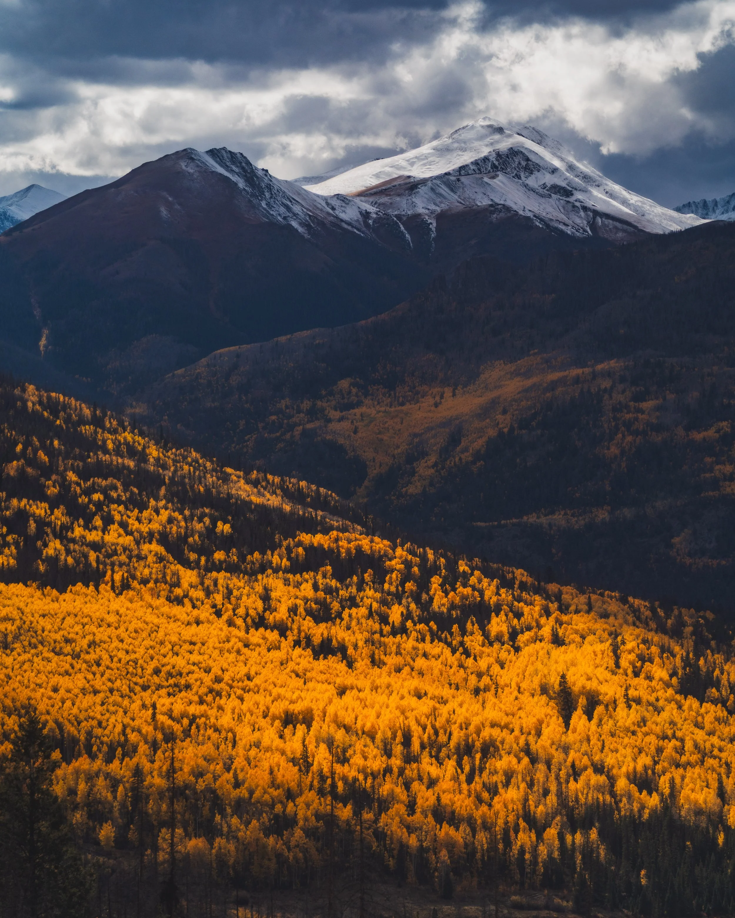 LakeCityFallPhotos2025-46.jpg
