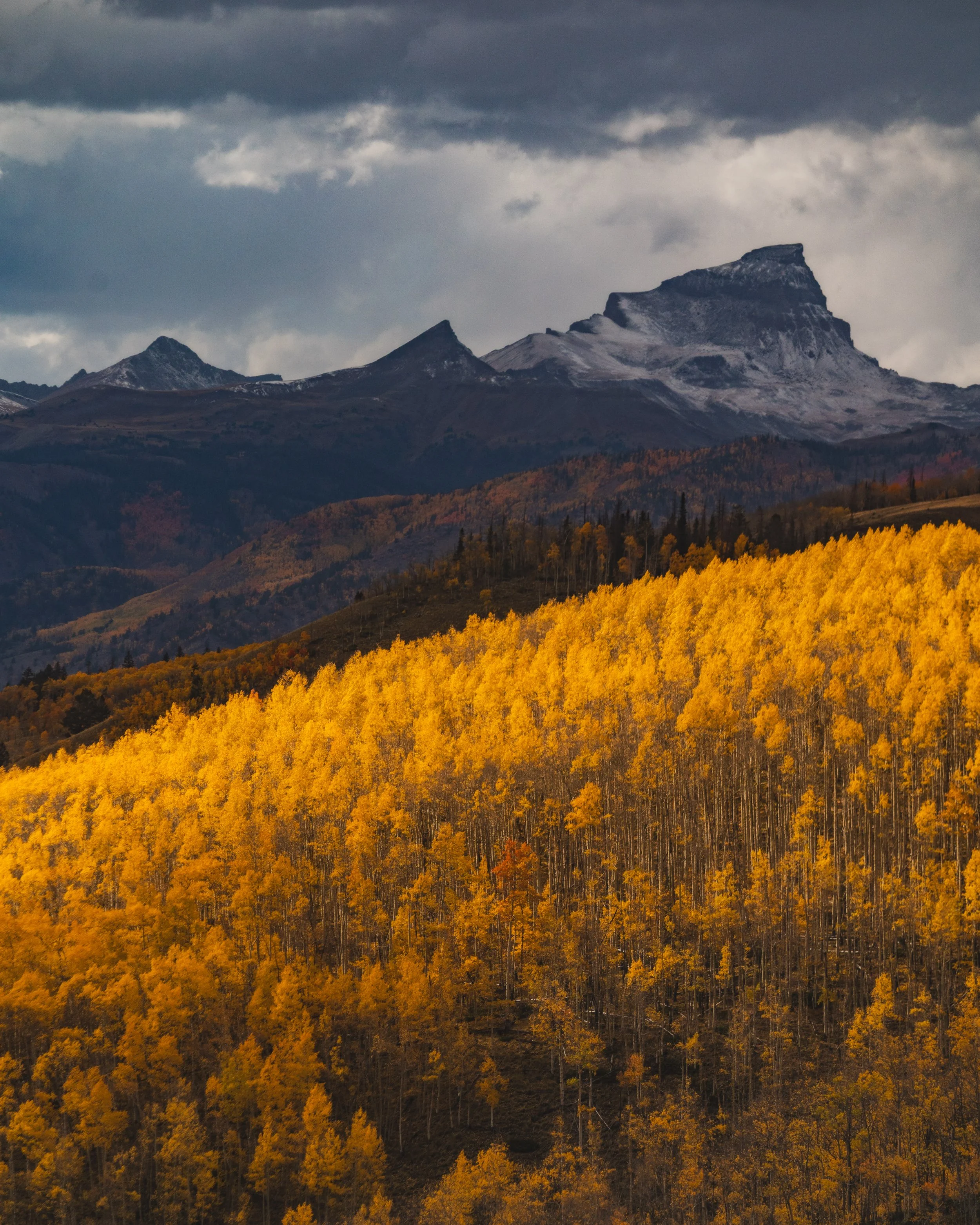 LakeCityFallPhotos2025-47.jpg
