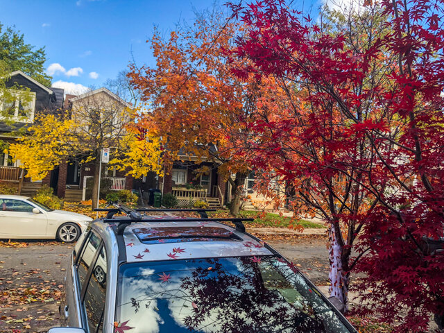 24 Inwood Ave _0055.jpg
