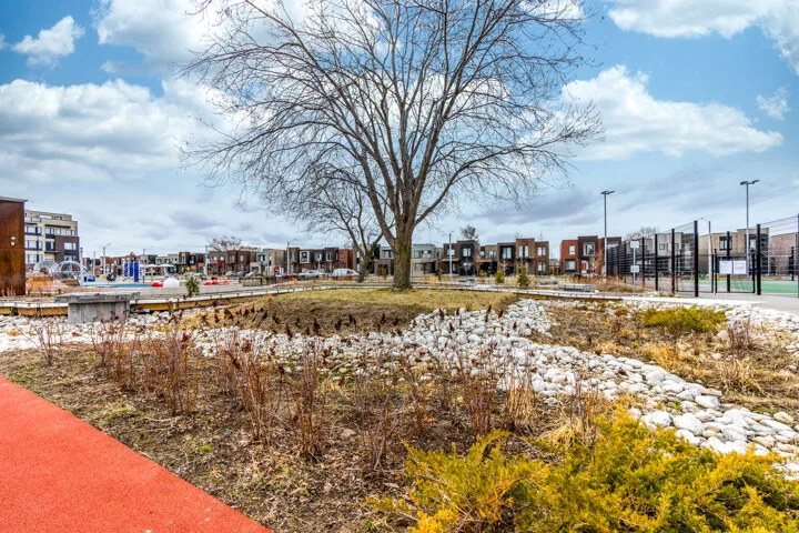 171 William Duncan Rd  -TH3_0061.jpg