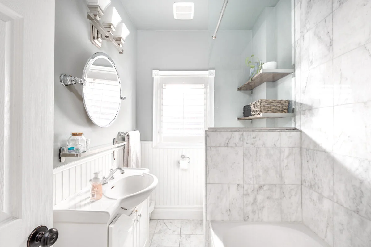 238 Sheldrake_029.jpg