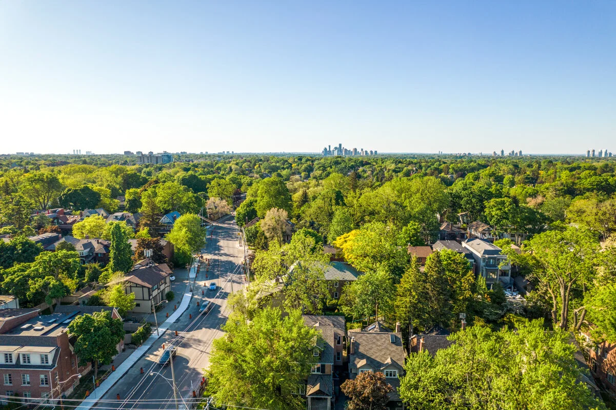 238 Sheldrake_053.jpg