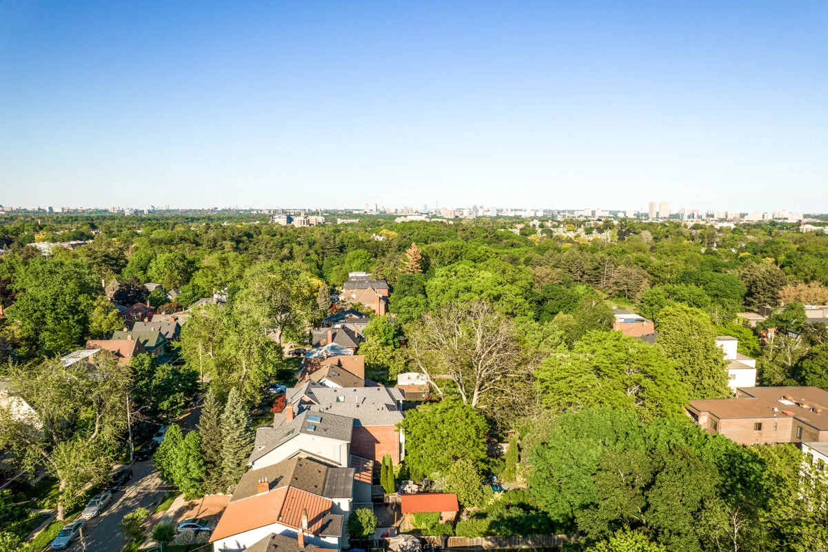 238 Sheldrake_054.jpg