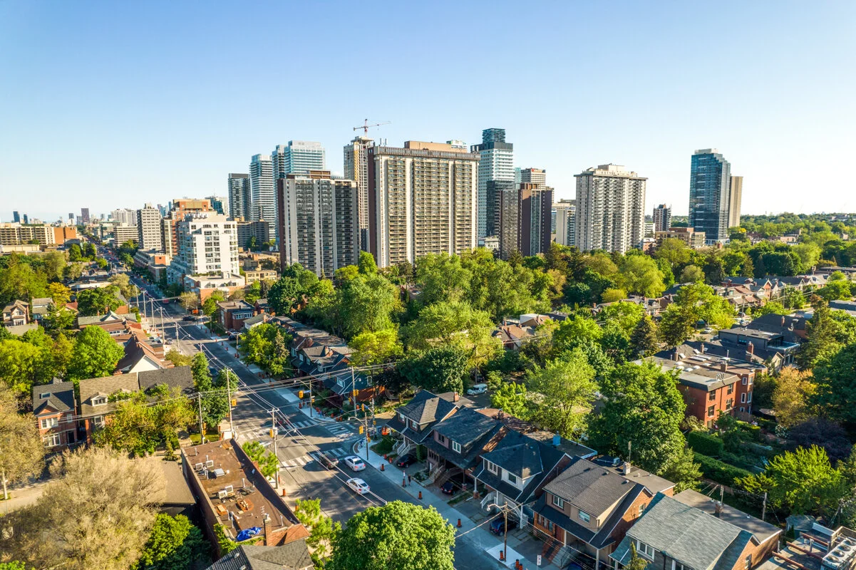 238 Sheldrake_055.jpg