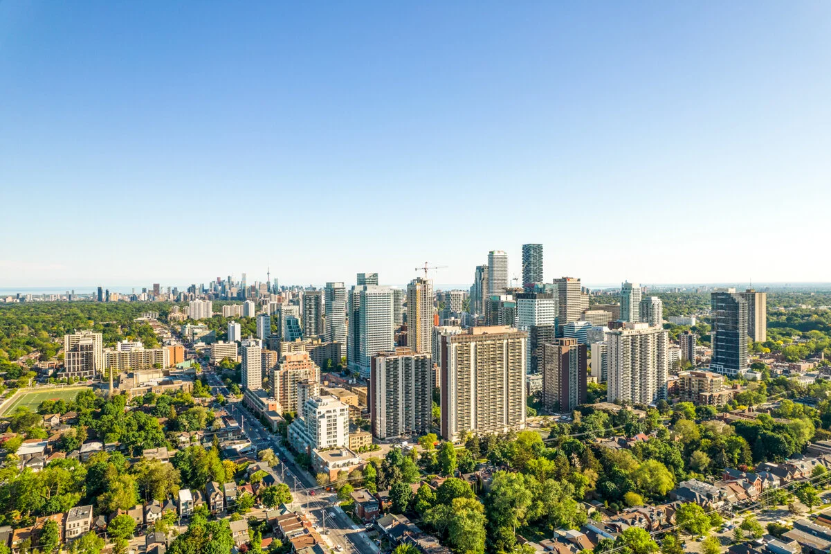 238 Sheldrake_056.jpg