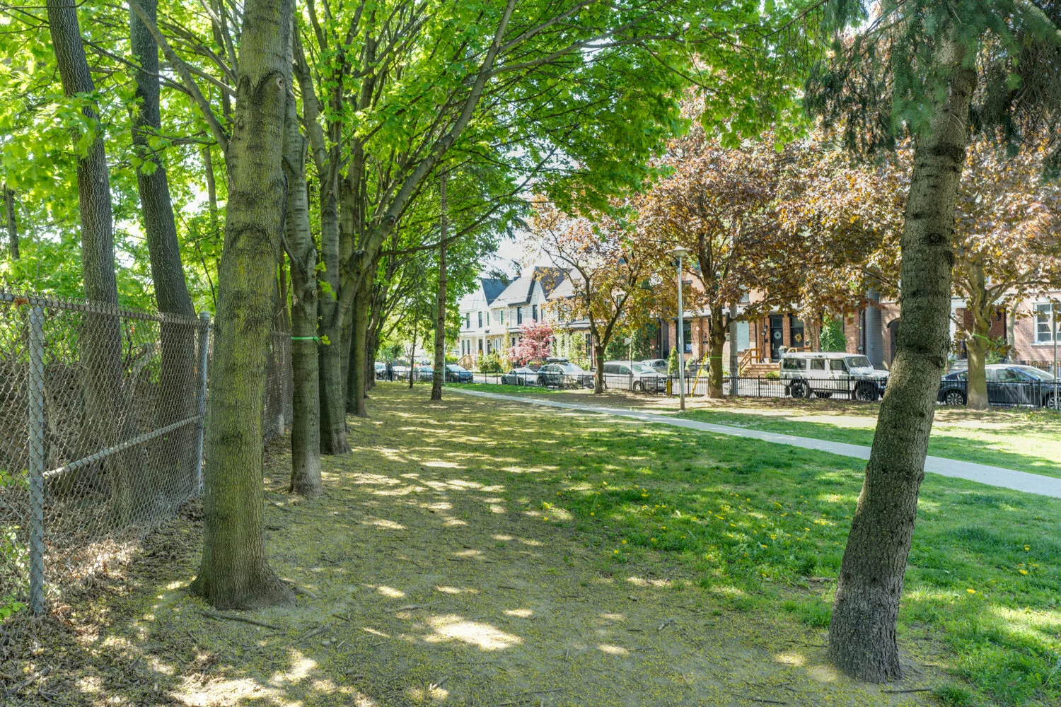 30B De Grassi _063.jpg