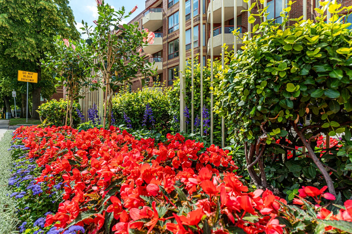 955 Millwood_058.jpg