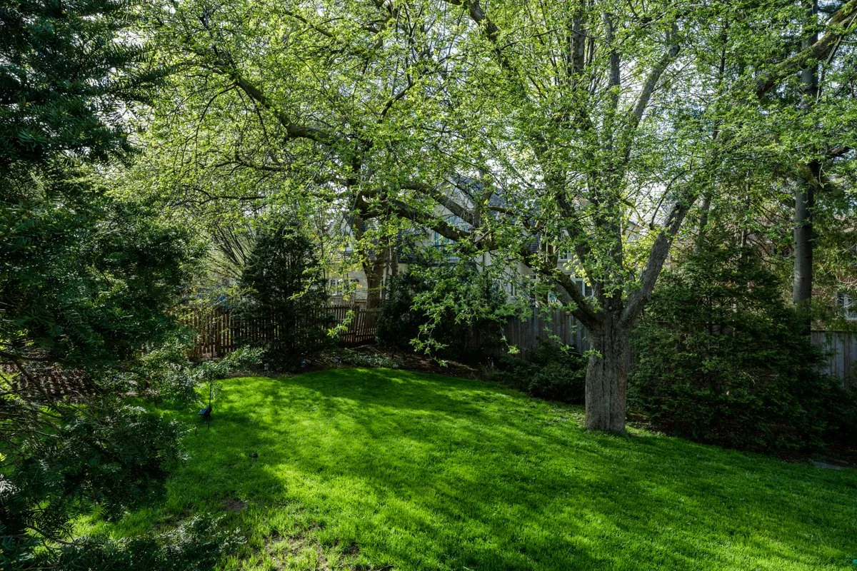 BL_0037.jpg