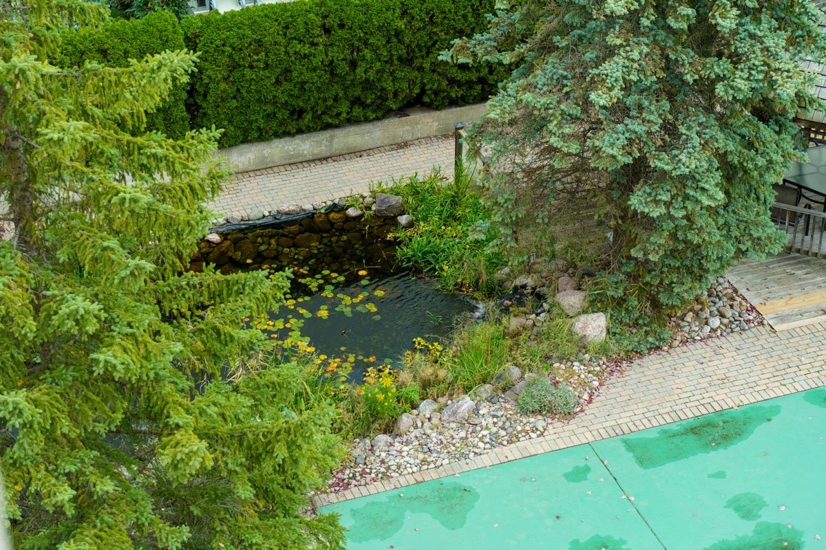 CCD0055.jpg