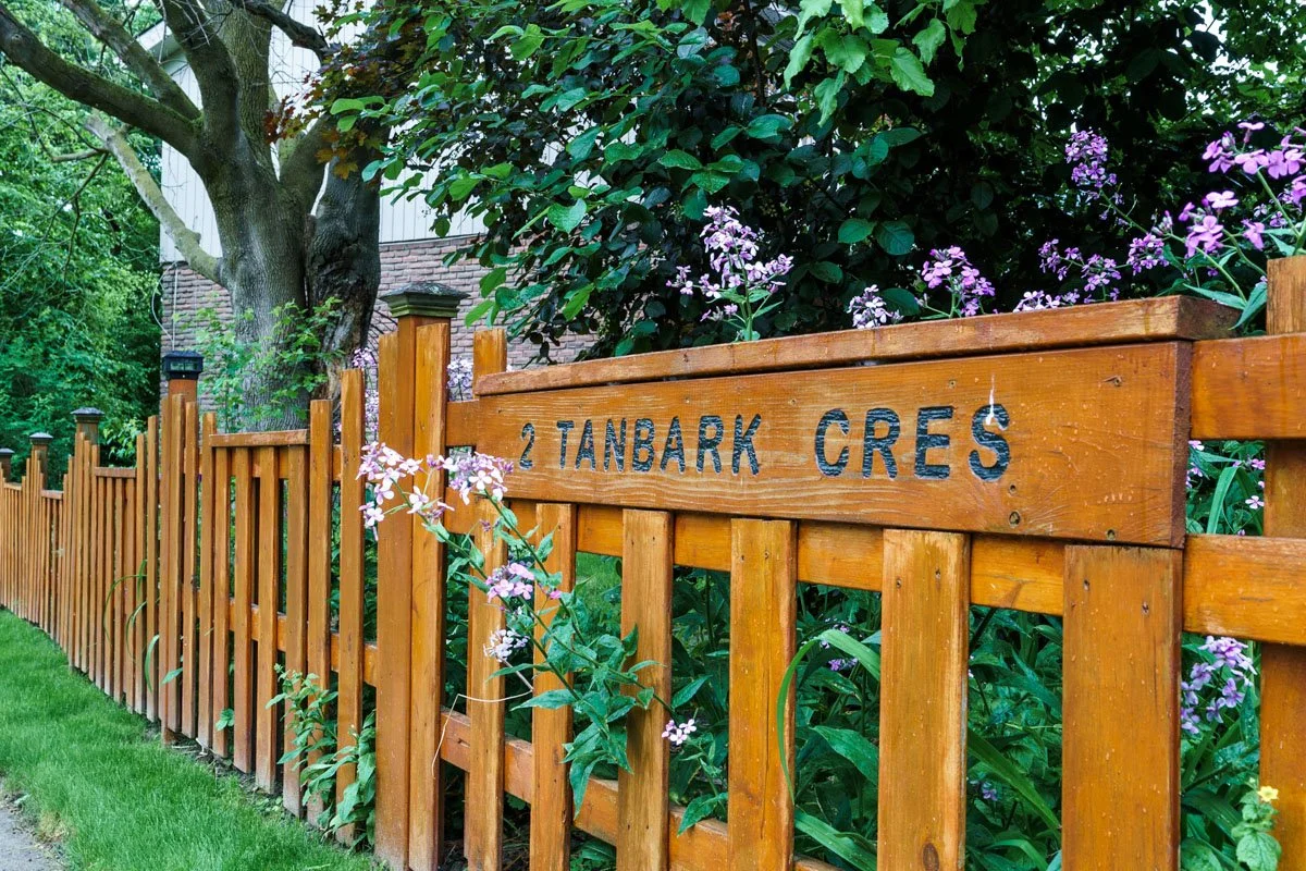 TAN0076.jpg