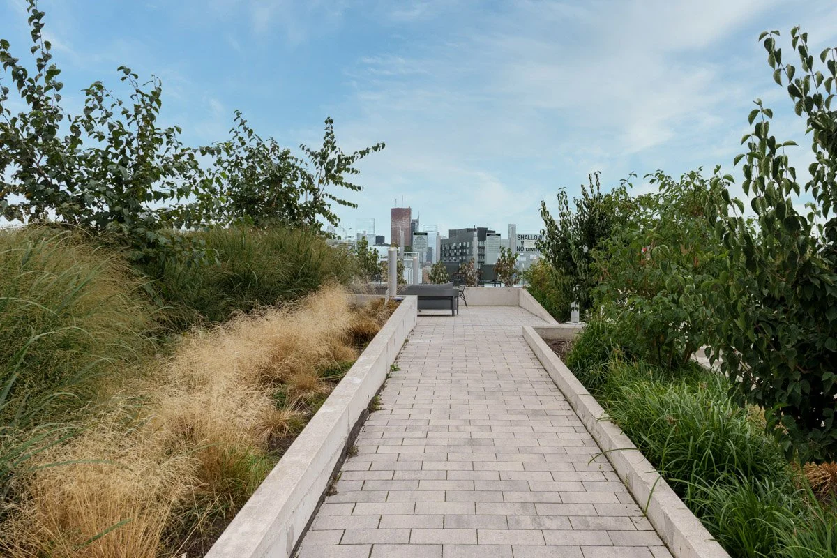 BBP0059.jpg