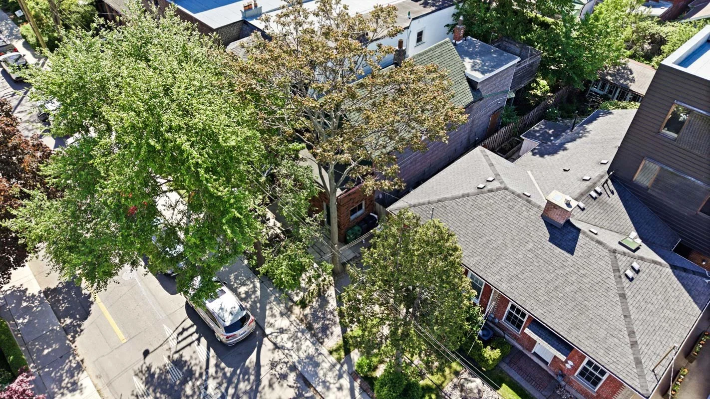 RIC0042.jpg